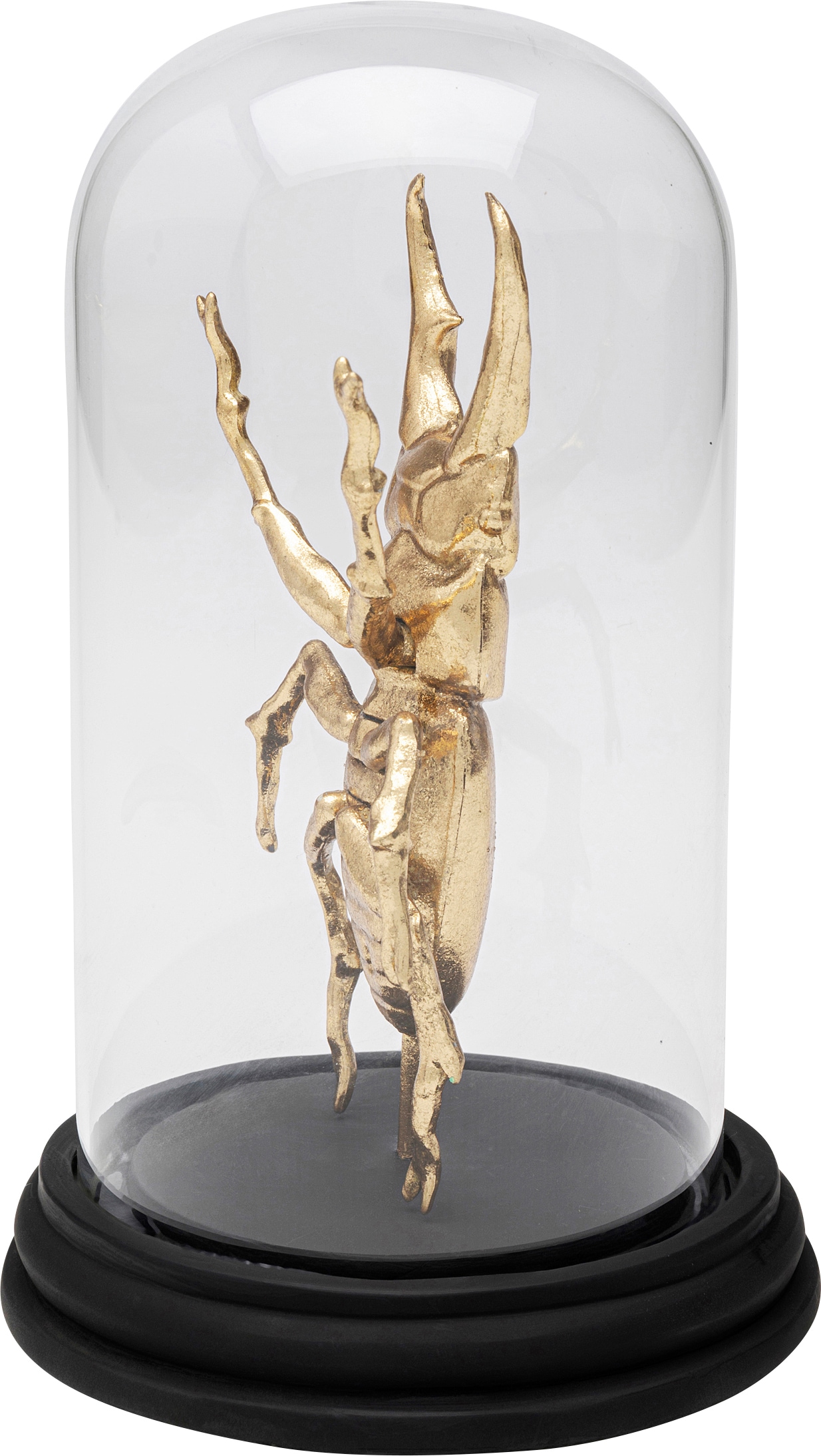 Kare Design Dekoobjekt »Hercules Beetle 20cm«