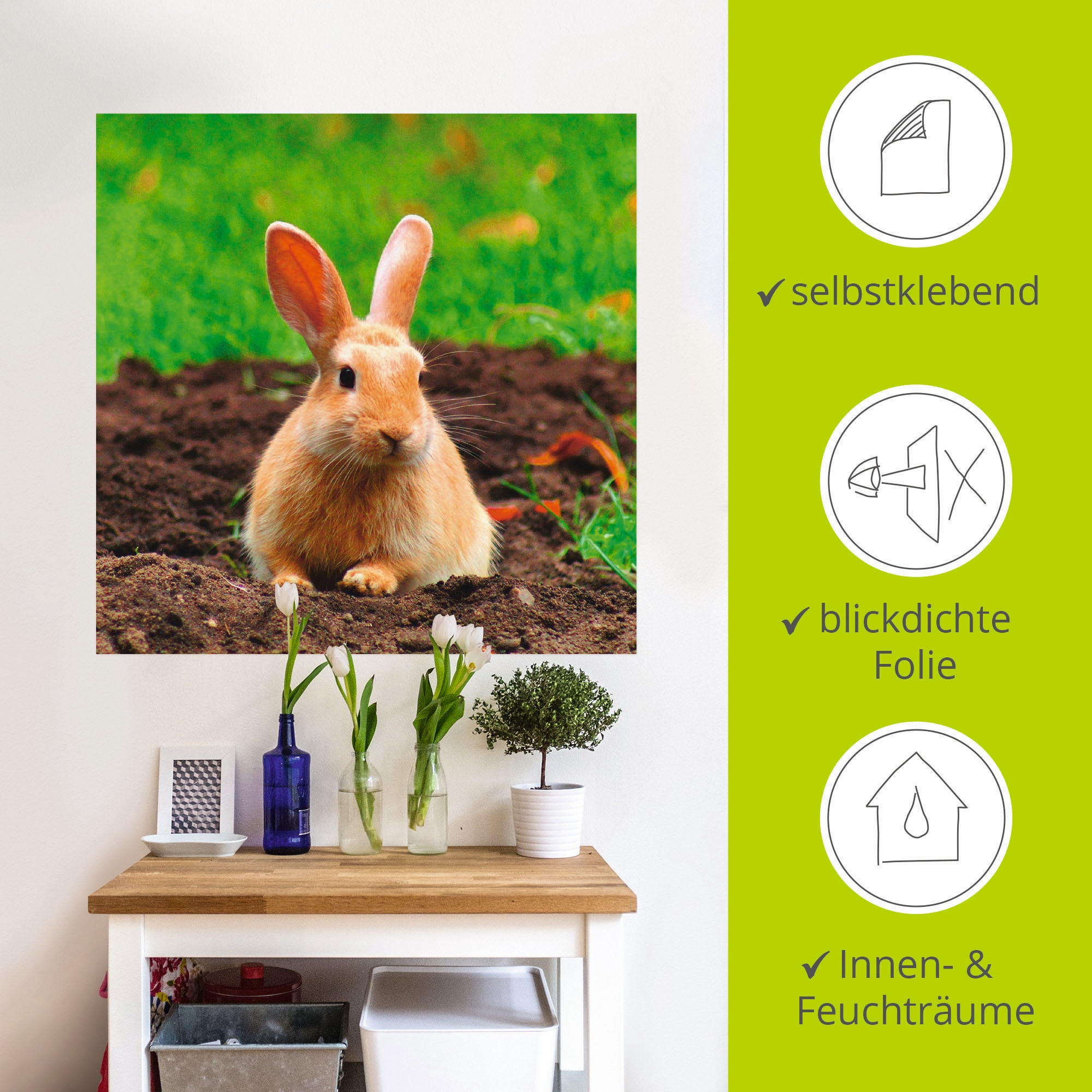 Artland Wandbild »Glückliches Zwergkaninchen«, Wildtiere, (1 St.), als Leinwandbild, Wandaufkleber in verschied. Größen