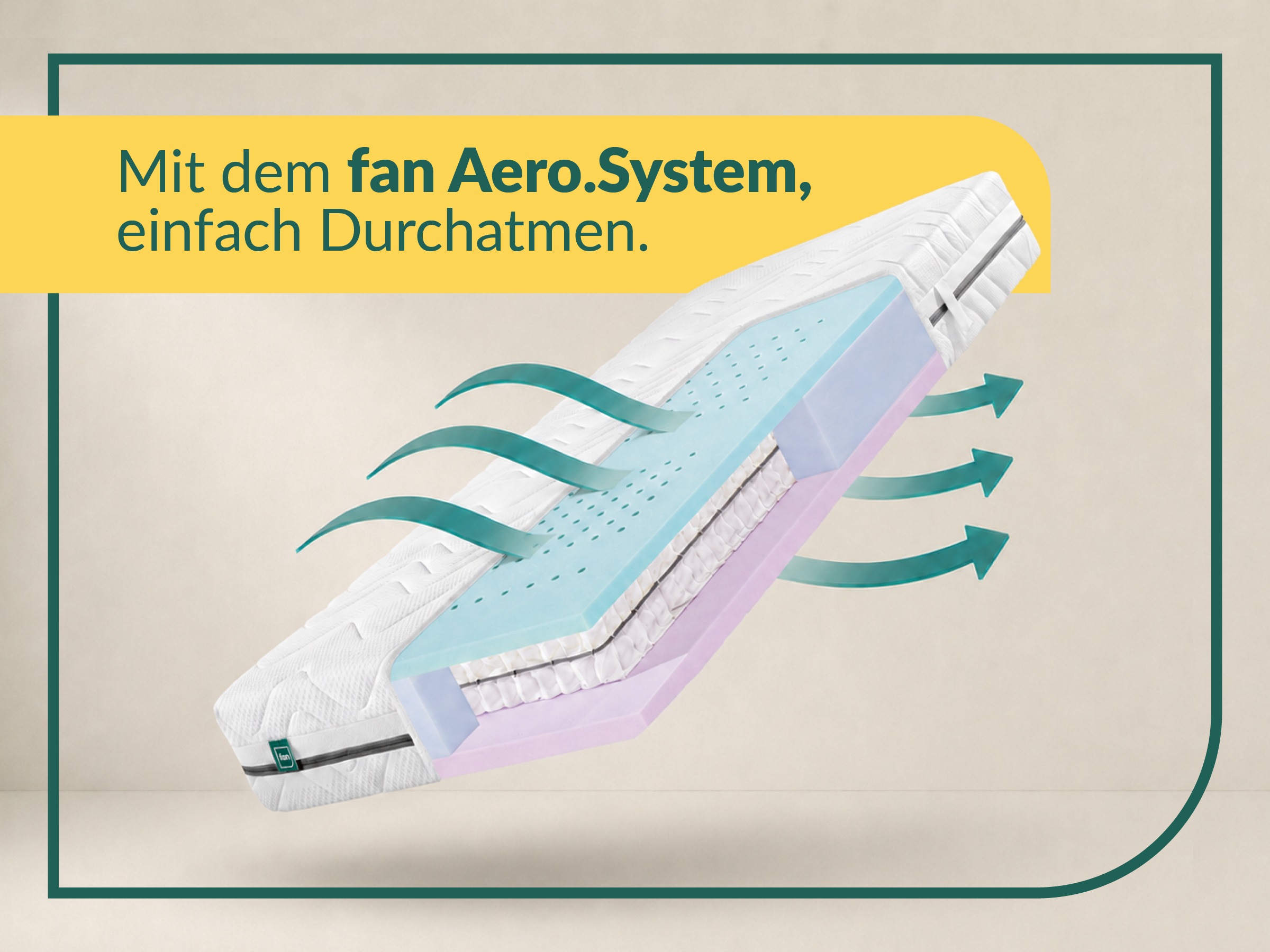 fan Taschenfederkernmatratze »fan Flex Side Clima T, Matratze 90x200 cm, 140x200 cm & mehr, in H2/H3« 24 cm hoch 1.034 Federn 1 Stk. tlg. Wendematratze mit Aero-System,1034 Federn (bei 100x 200 cm)