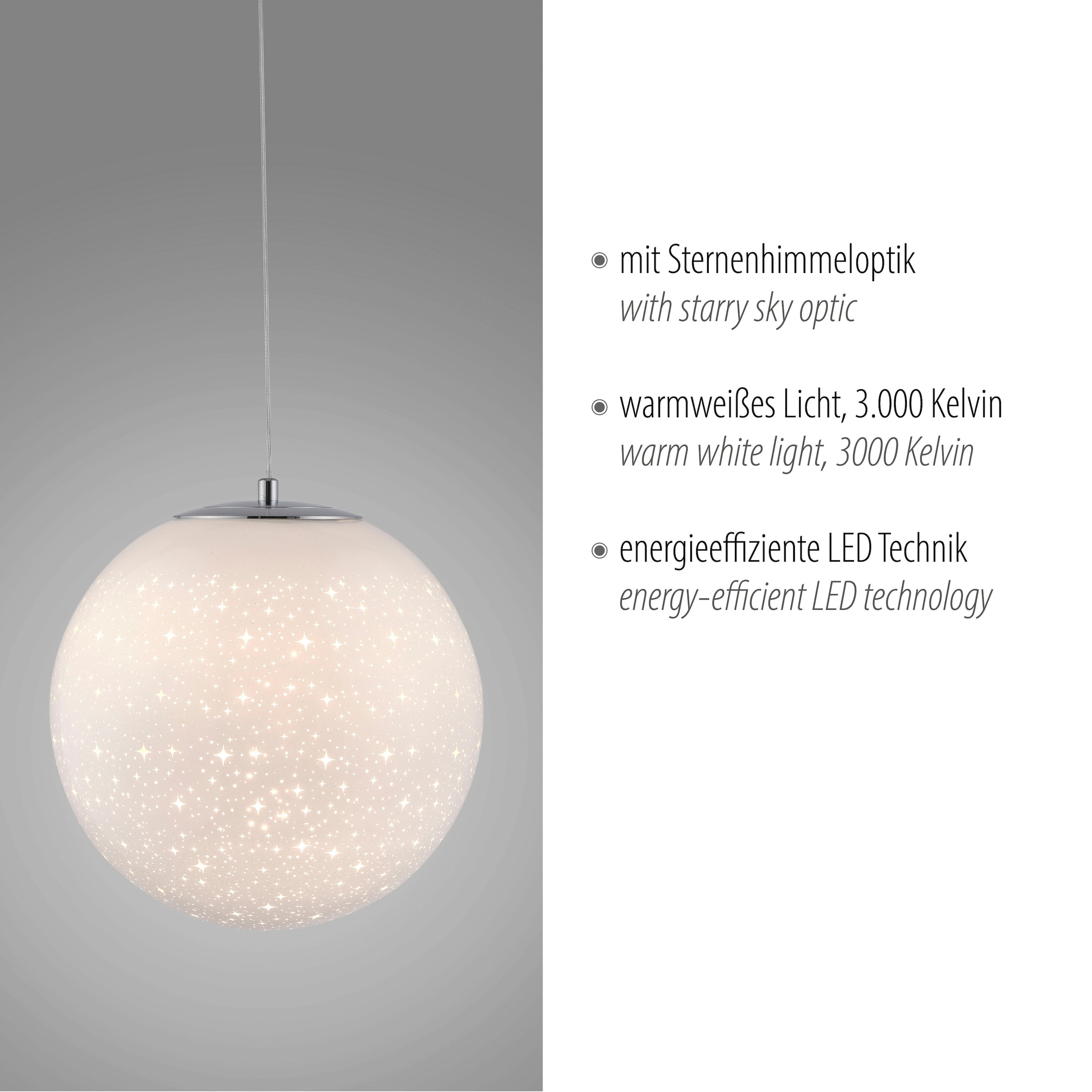 Paul Neuhaus Pendelleuchte »BOLO«, 1 flammig, Leuchtmittel LED-Board | LED fest integriert