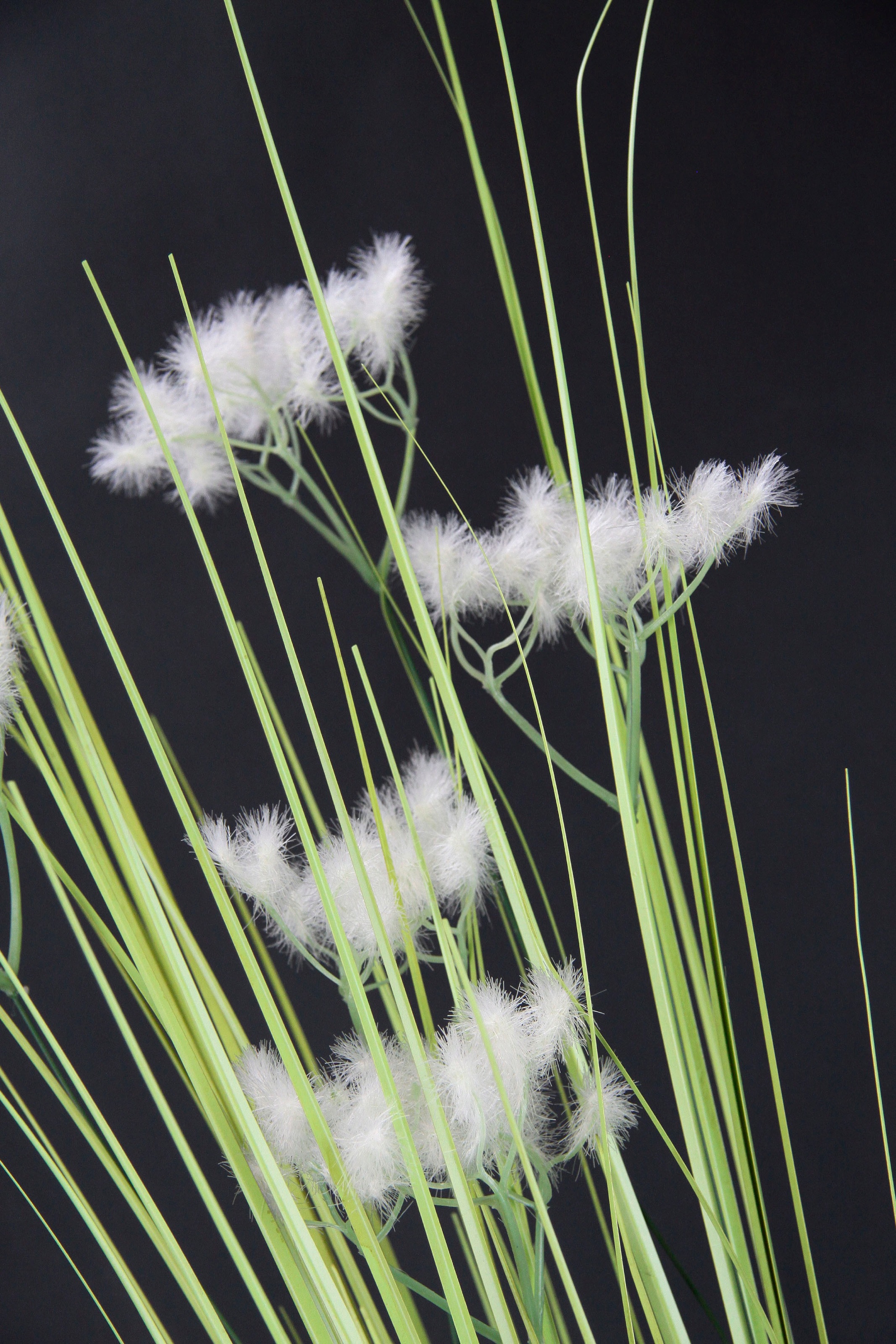 I.GE.A. Kunstpflanze »Pusteblume«, Dekozweig, 2er Set