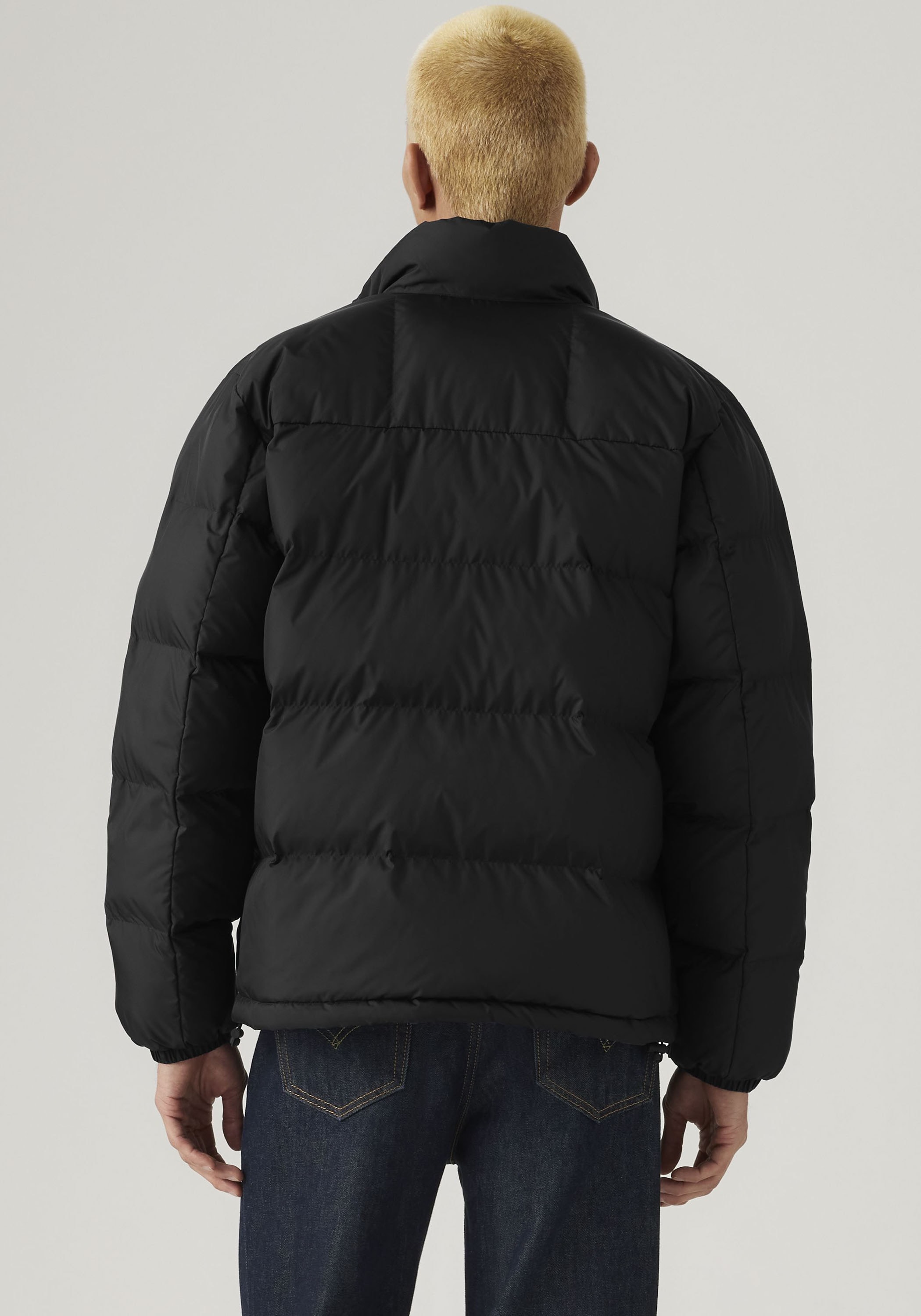 Levi's® Steppjacke »PIEDMONT SHORT PUFFER« ohne Kapuze mit Reißverschluss und Stehkragen
