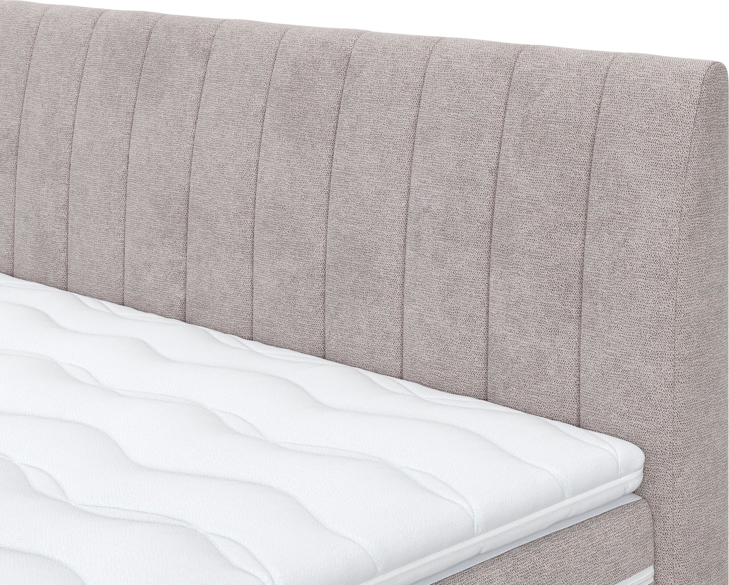 COTTA Boxspringbett »Shark inkl. Bettkasten und Topper«, erhältlich in den Breiten 140x200cm, 160x200cm und 180x200cm