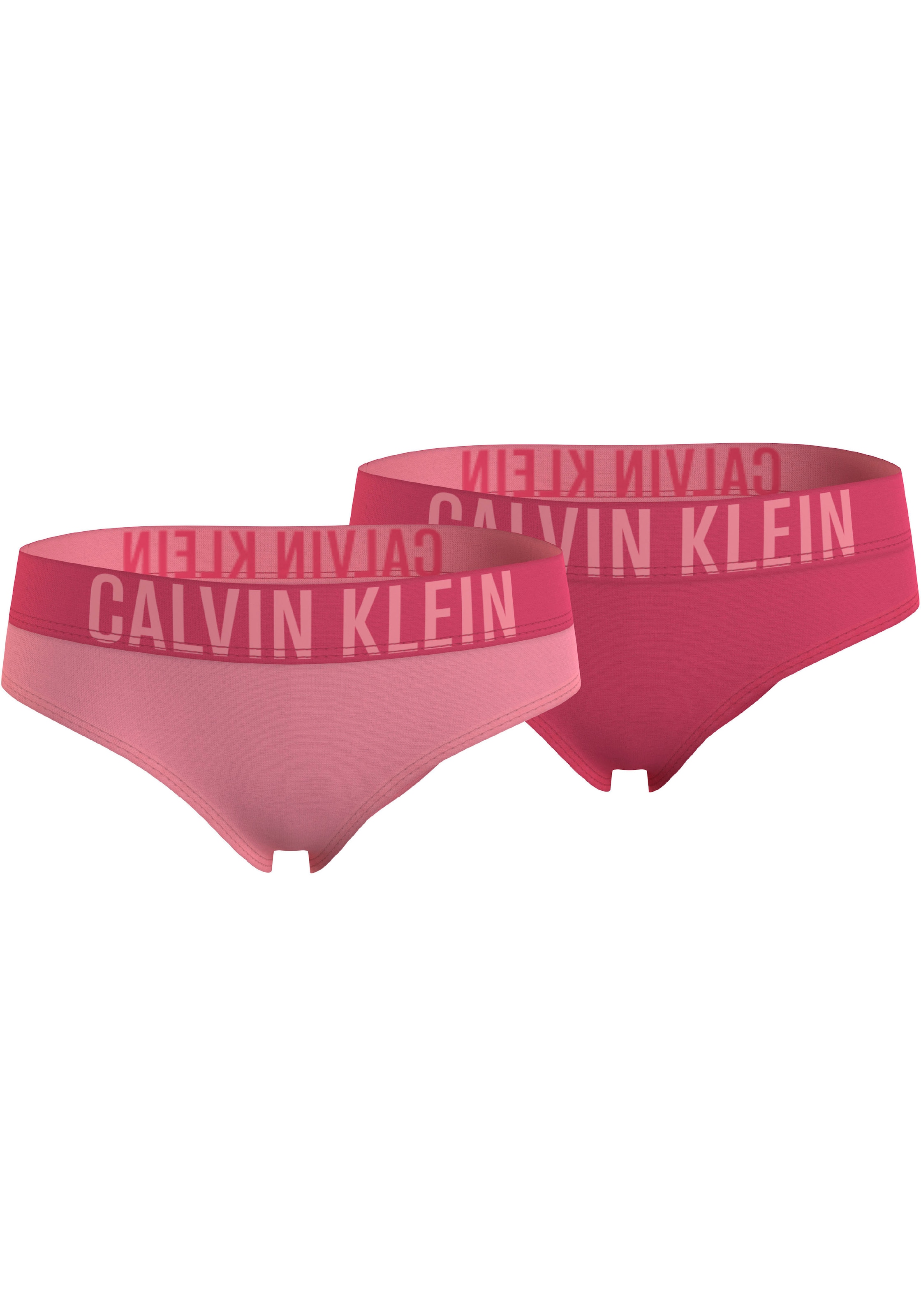 Calvin Klein Underwear kelnaitės »2PK BIKINI« (Pack...