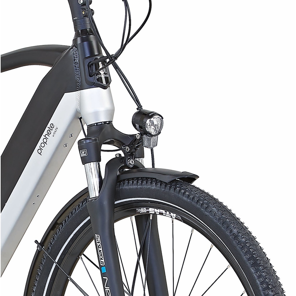 Prophete E-Bike »Entdecker InsideTwo«, 10 Gang, Shimano, Deore, Mittelmotor 250 W