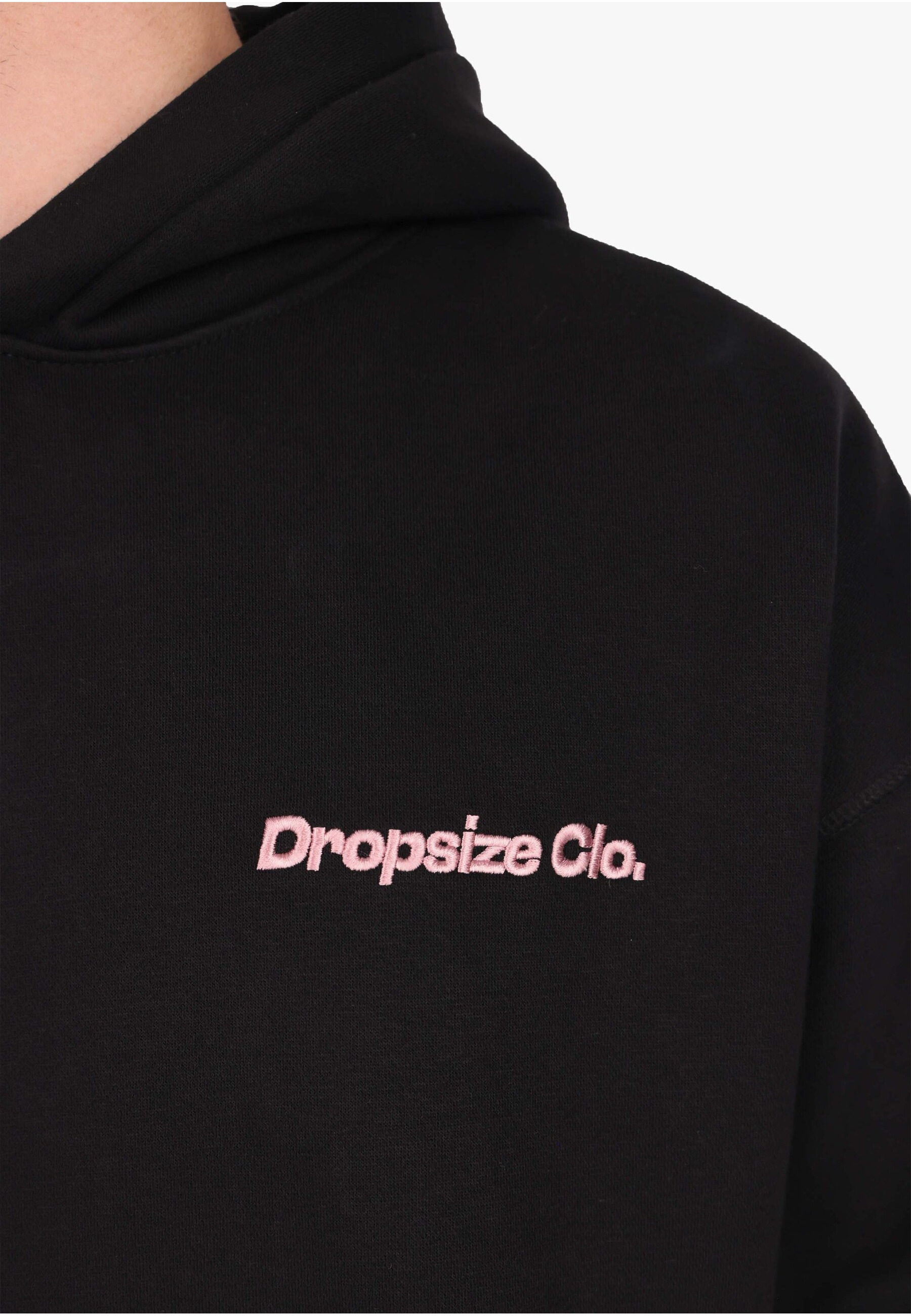 Dropsize Kapuzensweatshirt »Dropsize SNAKE APPLICATION HOODIE«, 1 Stk.

