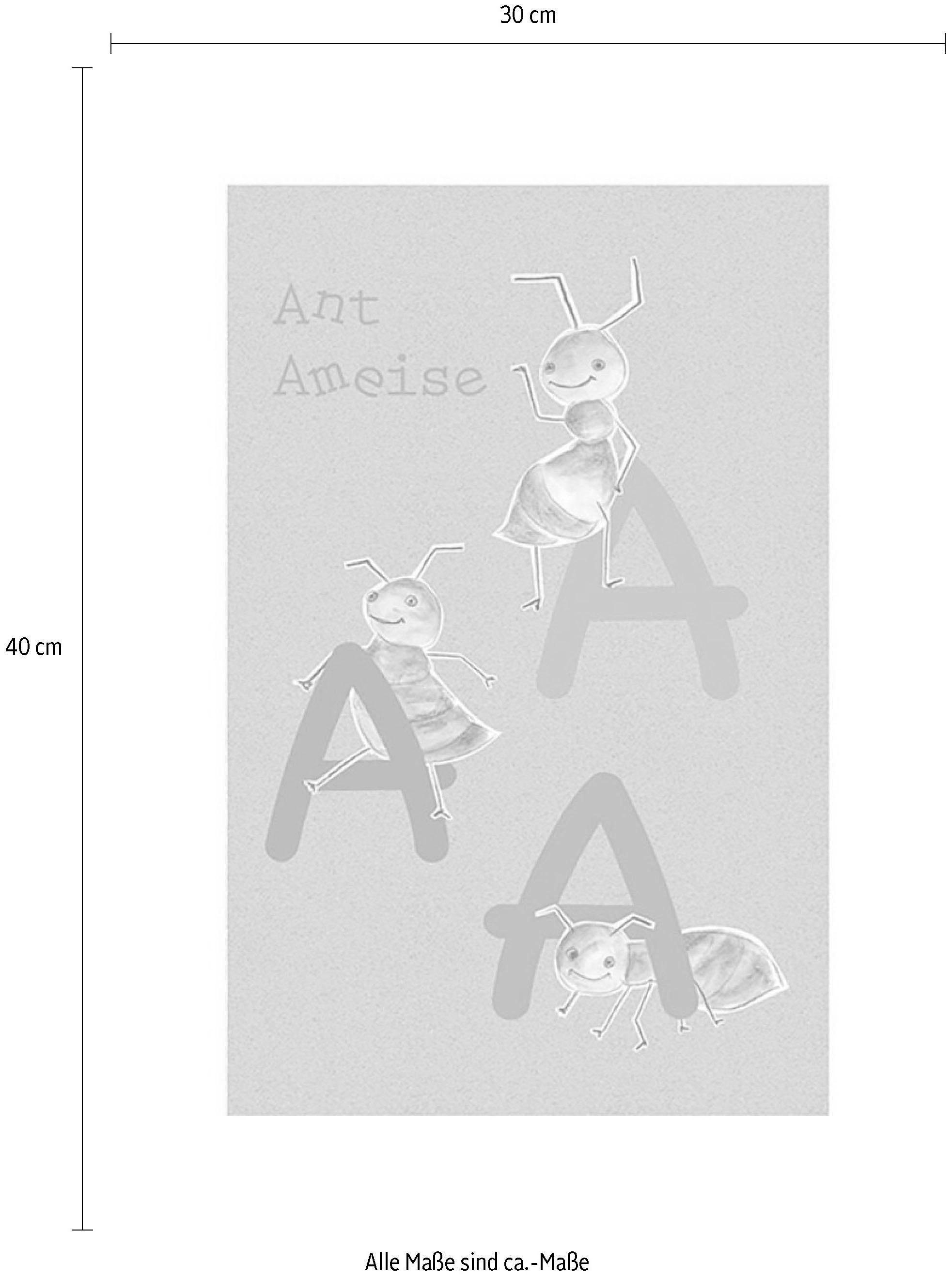 »ABC A«, Buchstaben, kaufen 40cm Animal | Poster BAUR Komar Höhe: