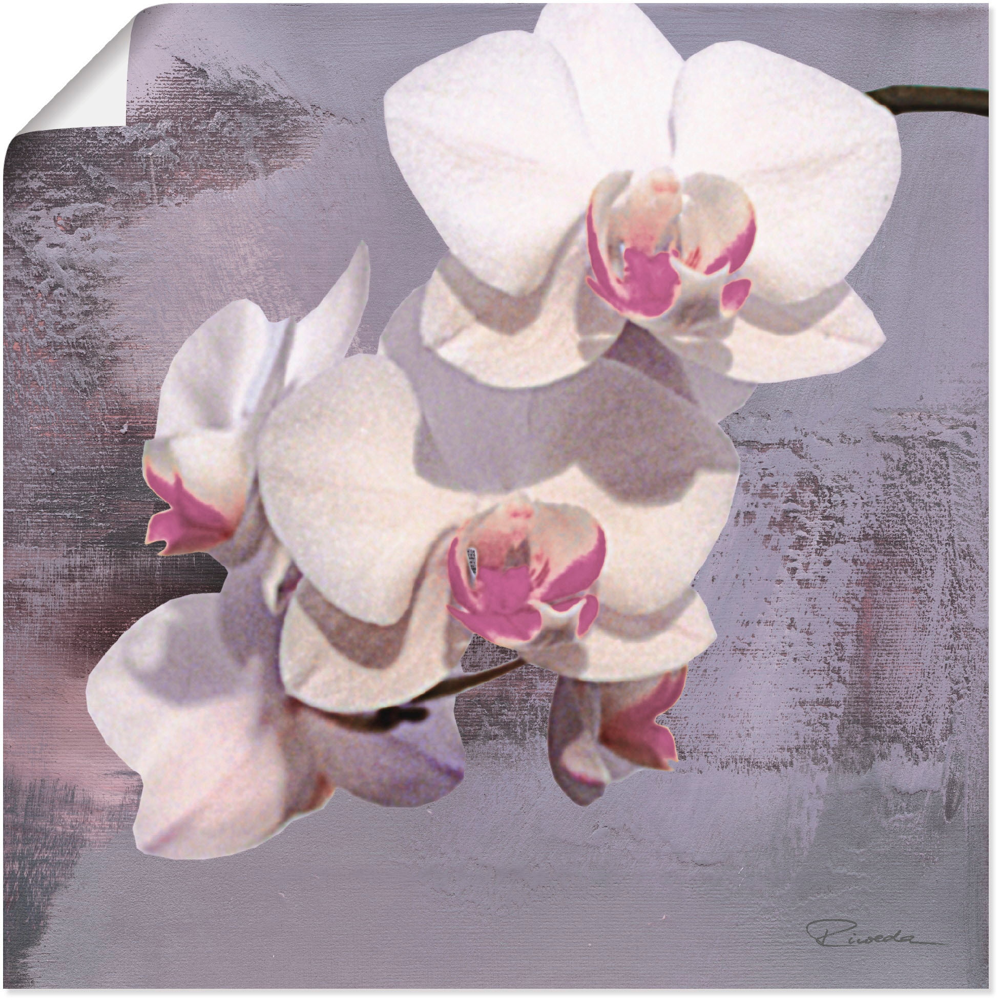 Artland Leinwandbild »Orchideen vor Violett II«, Blumen, (1 St.), auf Keilrahmen gespannt