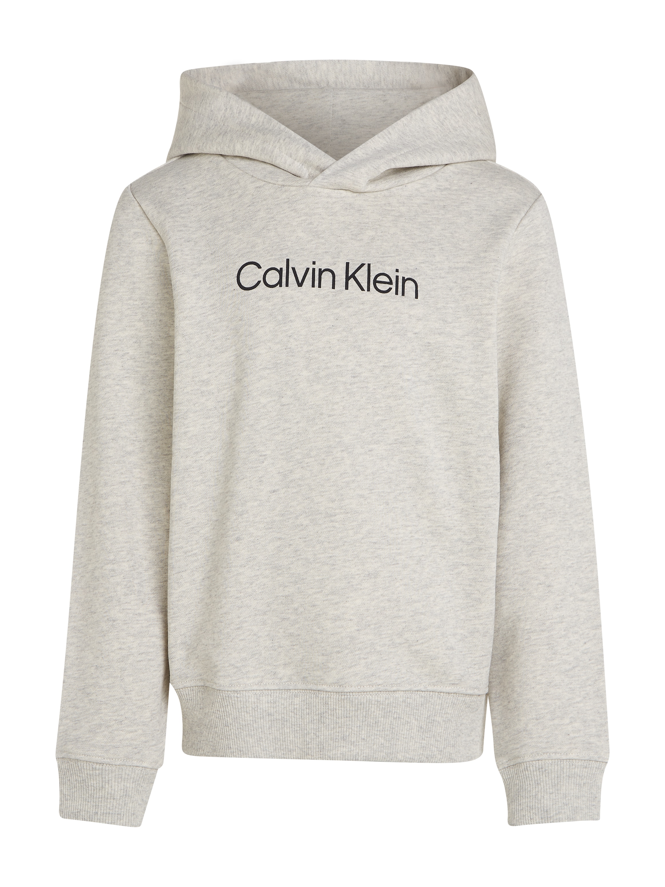 Calvin Klein Jeans Kapuzensweatshirt »Inst. Logo Reg. Terry Hoodie«, für Kinder bis 16 Jahre und mit Logoschriftzug