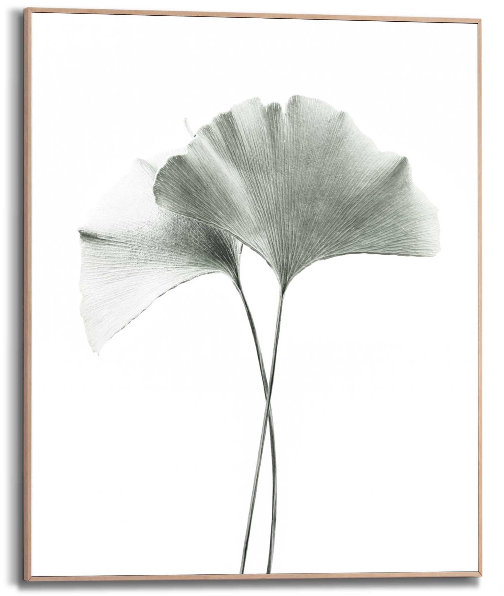 Reinders Kunstdruck "Ginkgo Blatt" günstig online kaufen