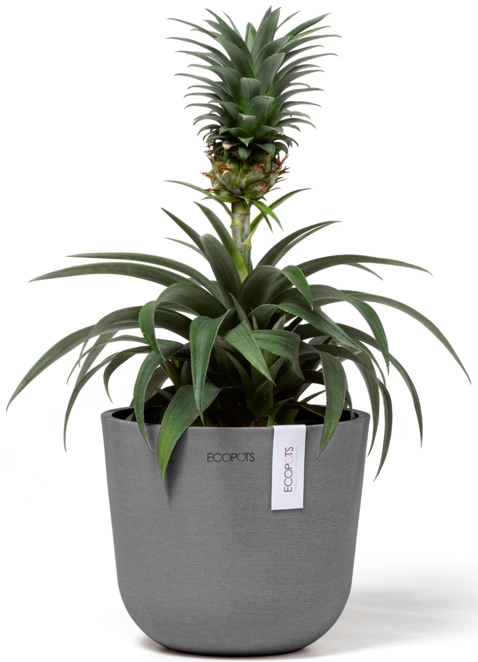 ECOPOTS Blumentopf »Oslo Mini 16 Grau«, für den Innenbereich