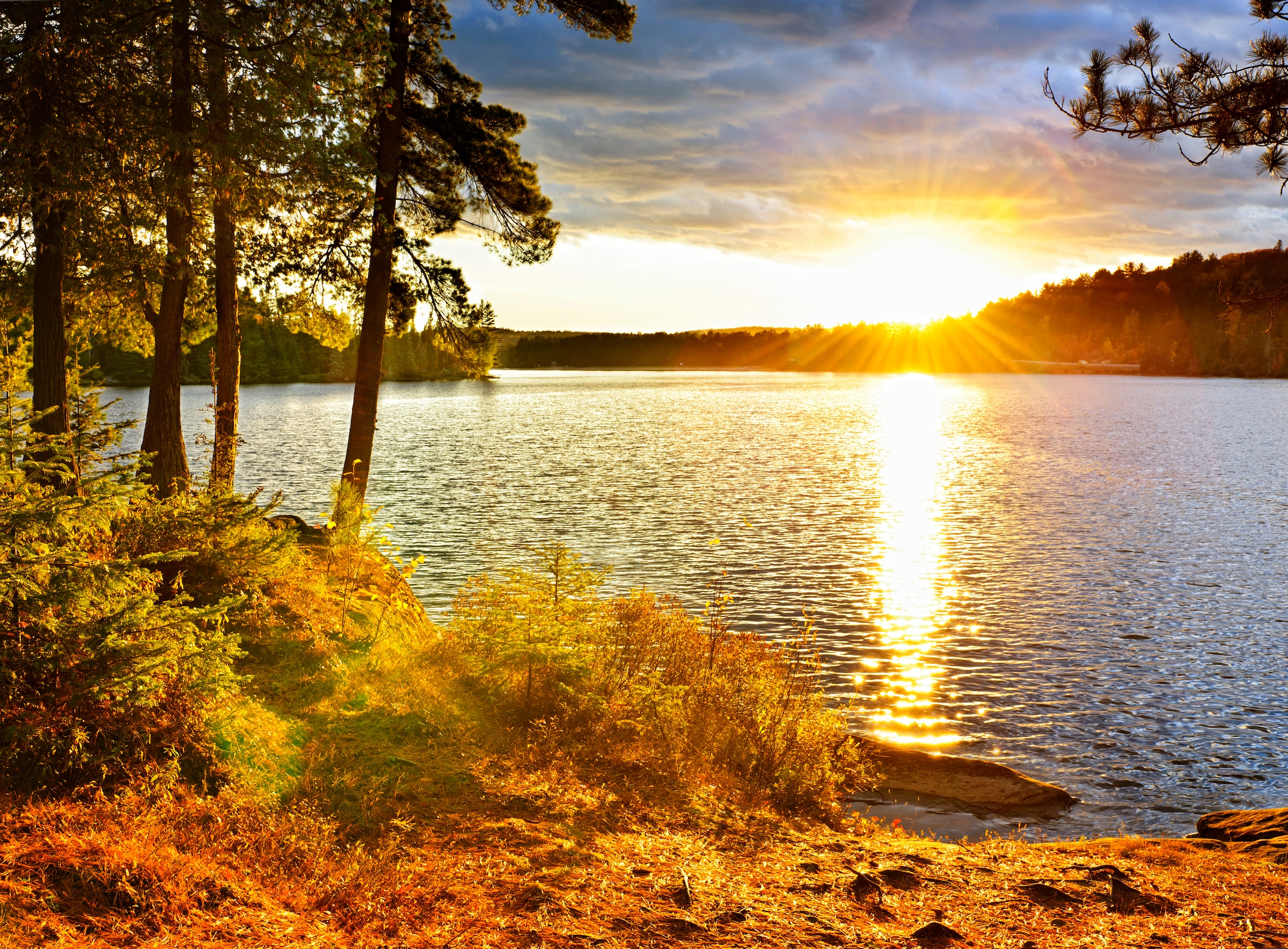 Papermoon Fototapete "Algonquin Park Lake" glatt günstig online kaufen