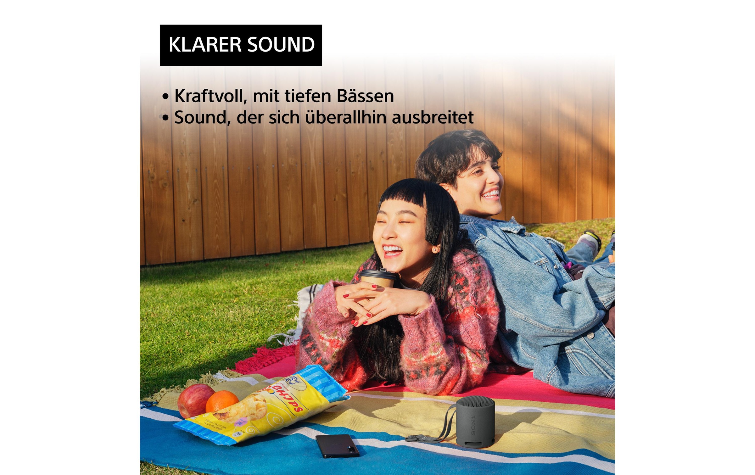 Sony Bluetooth-Speaker (Bluetooth )
