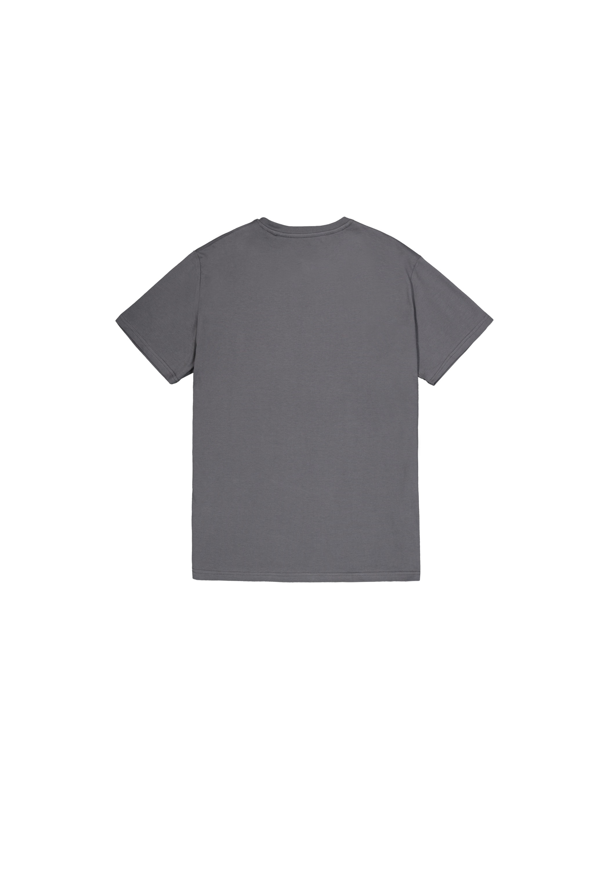 Alpha Industries T-Shirt »Basic T-Shirt ML«