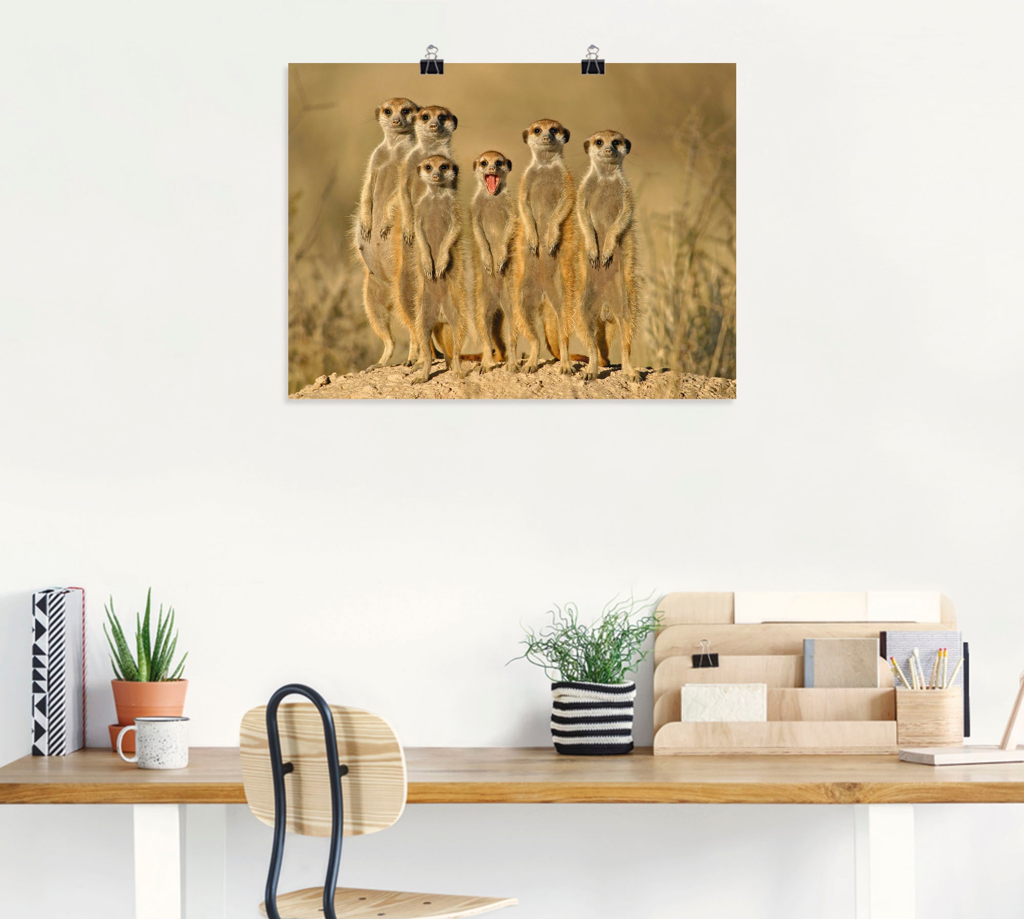 Artland Wandbild "Erdmännchen Familie" Wildtiere 1 Stk. tlg. als Alubild, O günstig online kaufen