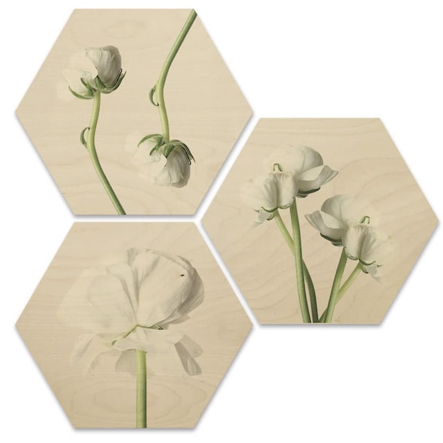 Wall-Art Mehrteilige Bilder »Maiglöckchen Blumen Collage«, (Set, 3 St.)  kaufen | BAUR