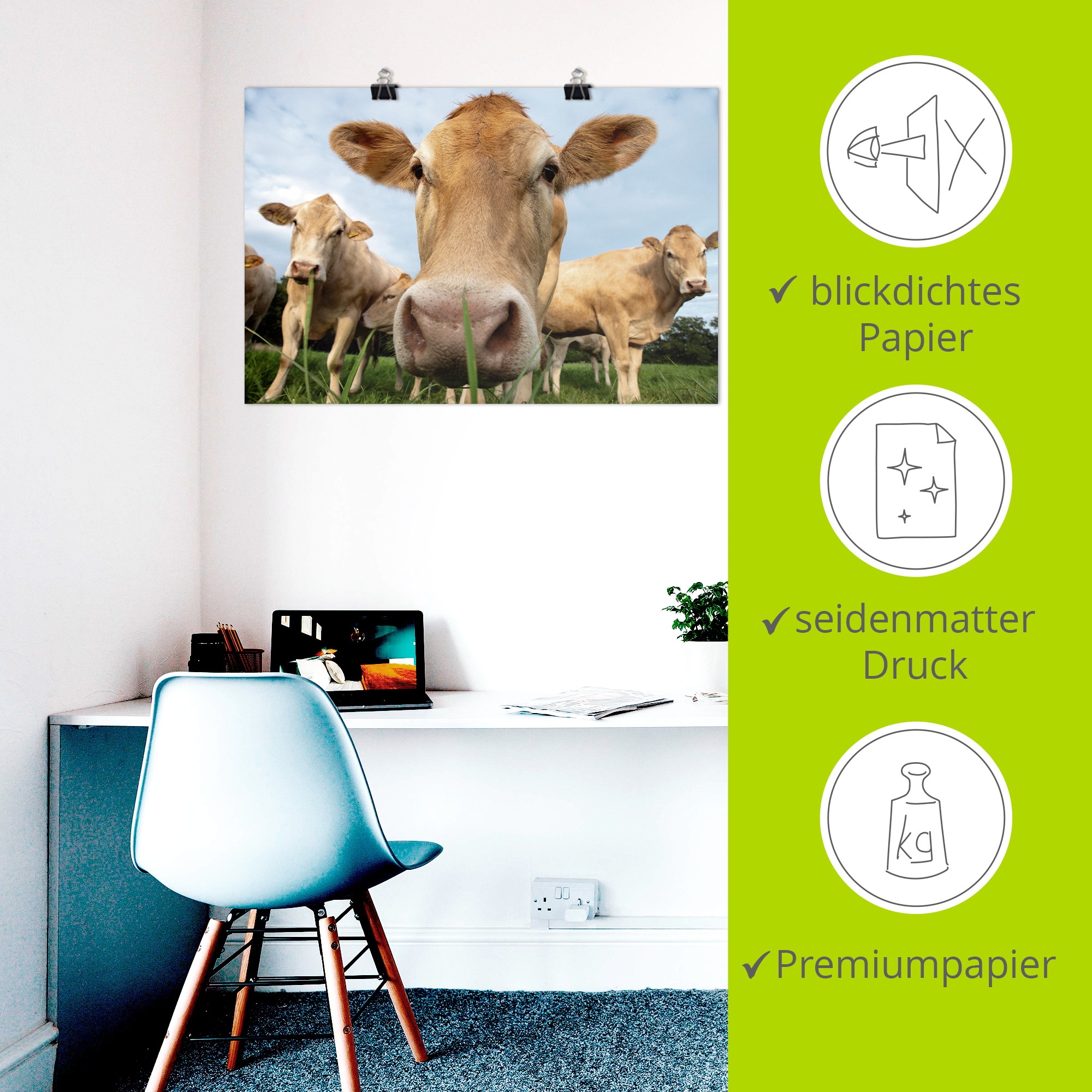 Artland Wandbild »Neugier auf der Weide - Alpenkühe« Kuhbilder 1 Stk. tlg. als Alubild, Leinwandbild, Poster, Wandaufkleber in verschied. Größen