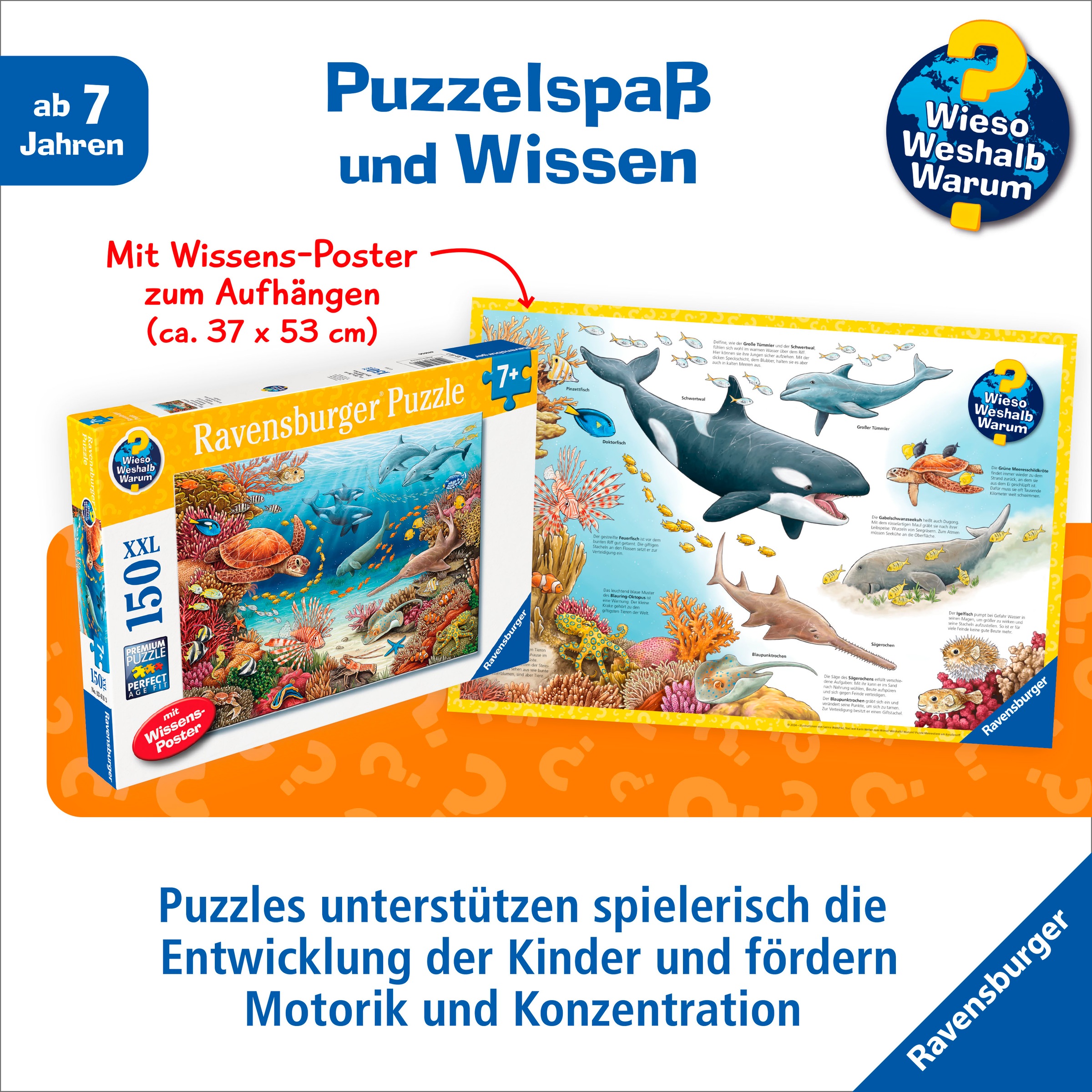 Ravensburger Puzzle »Wieso? Weshalb? Warum? Meerestiere am Korallenriff«, Made in Germany