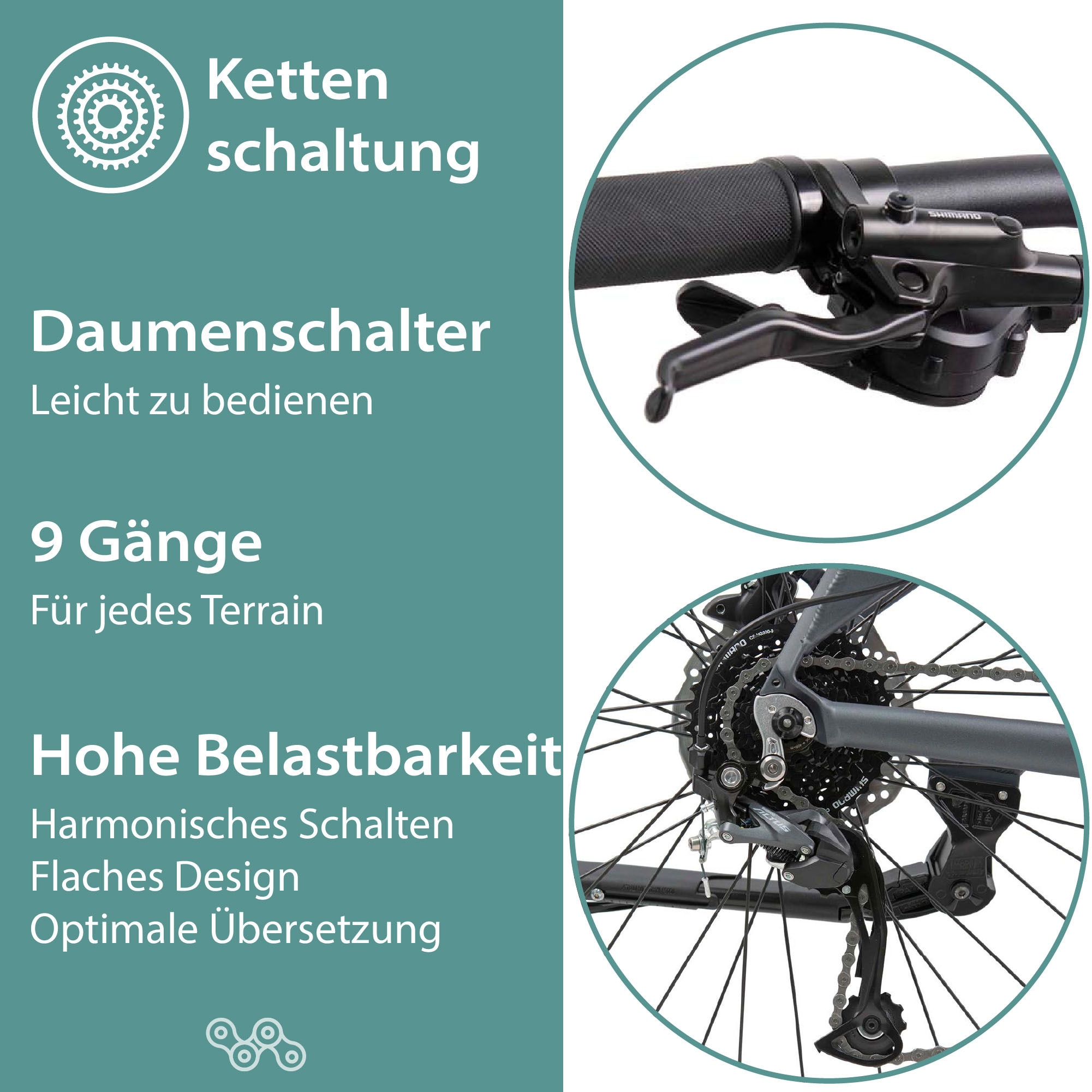 Tretwerk E-Bike »Commander«, 9 Gang, Shimano, Altus SGS, Mittelmotor 250 W, Pedelec, Elektrofahrrad für Damen u. Herren, MTB