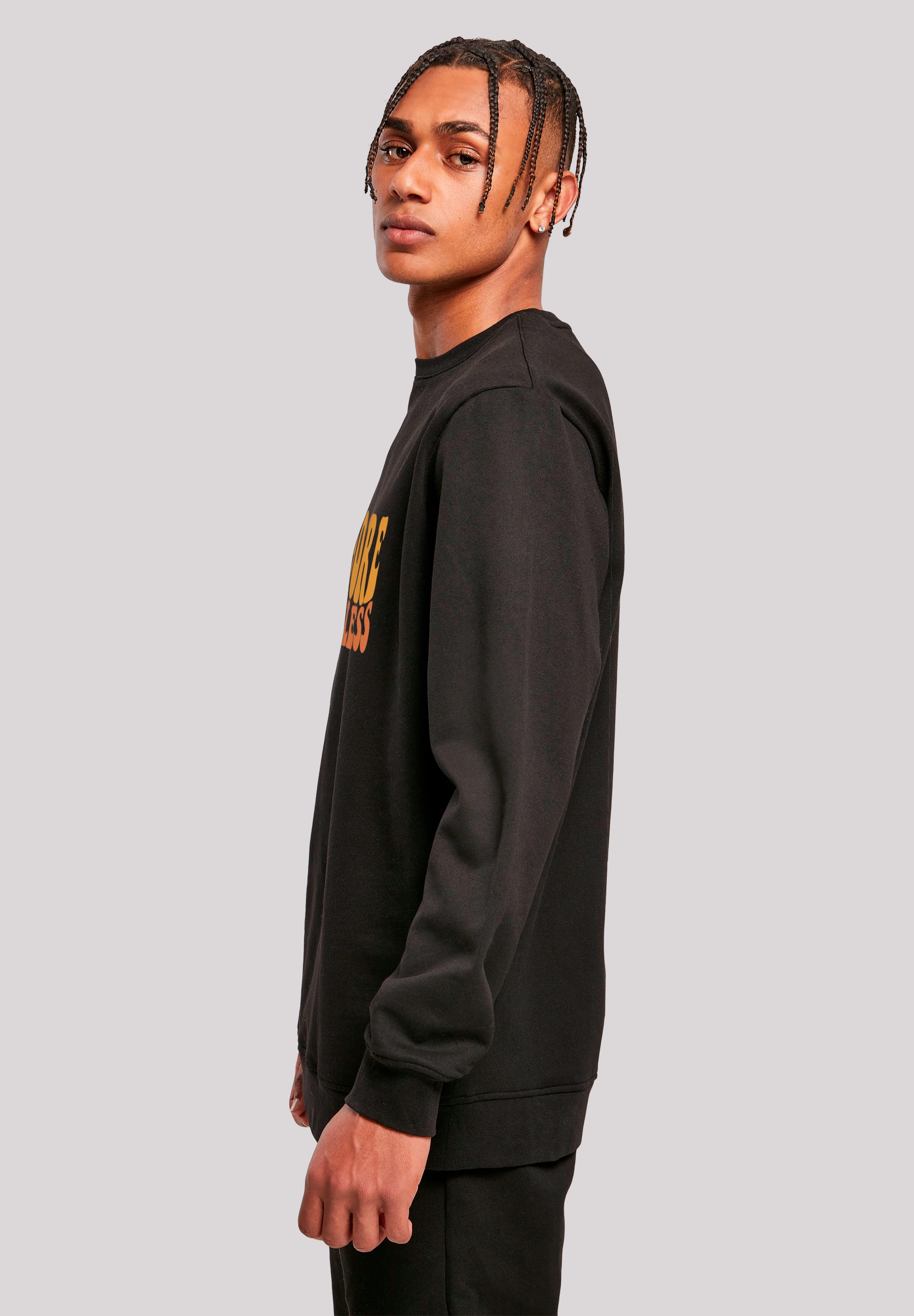 F4NT4STIC Sweatshirt »Ski More Worry Less«, Premium Qualität