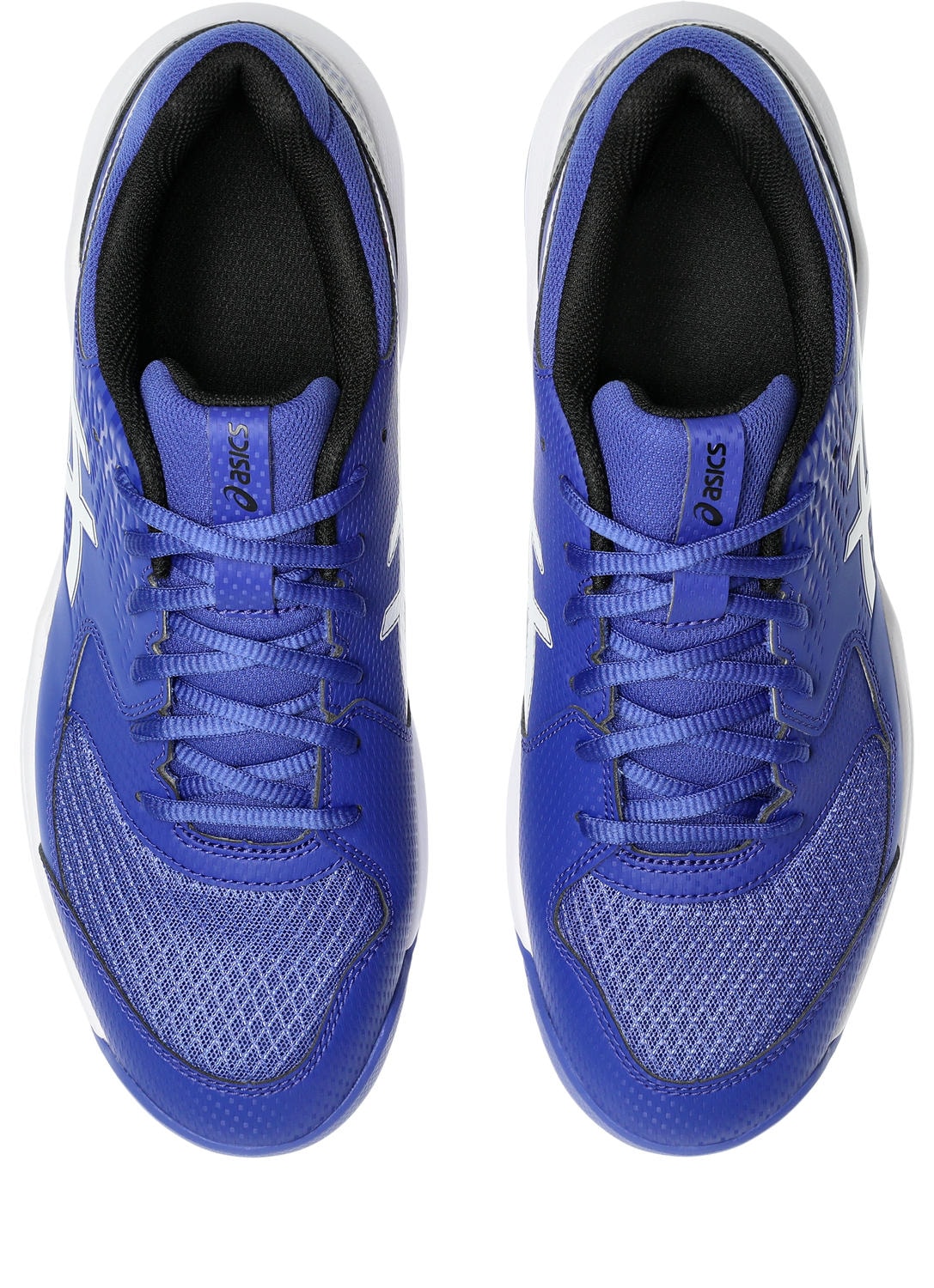 Asics Tennisschuh »GEL-DEDICATE 8 CLAY«, Sandplatzschuhe für Ascheplätze