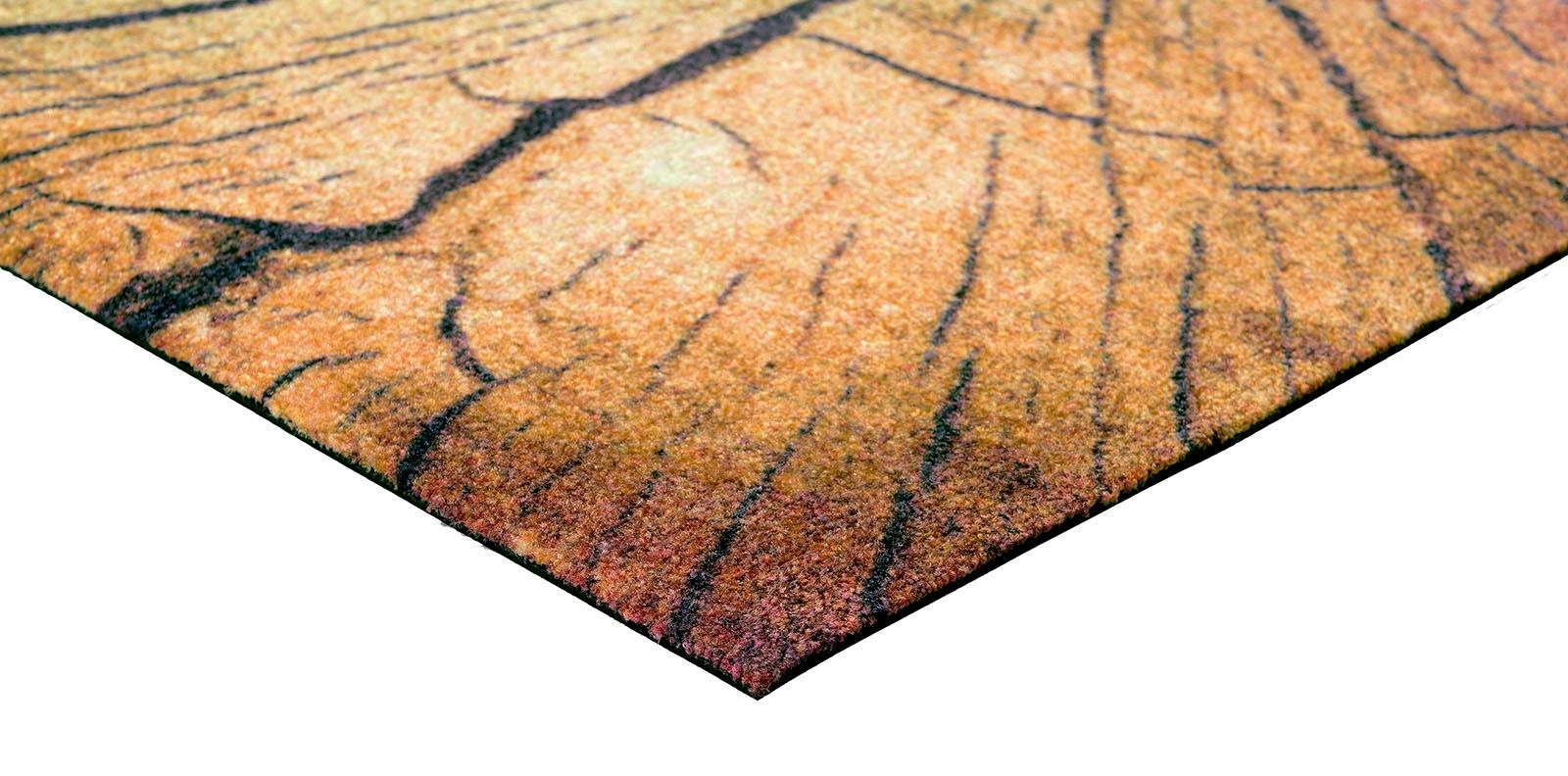 Land«, waschbar, | Teppich Rechnung Wohnzimmer rutschhemmend, auf rechteckig, wash+dry »Wood by BAUR Kleen-Tex