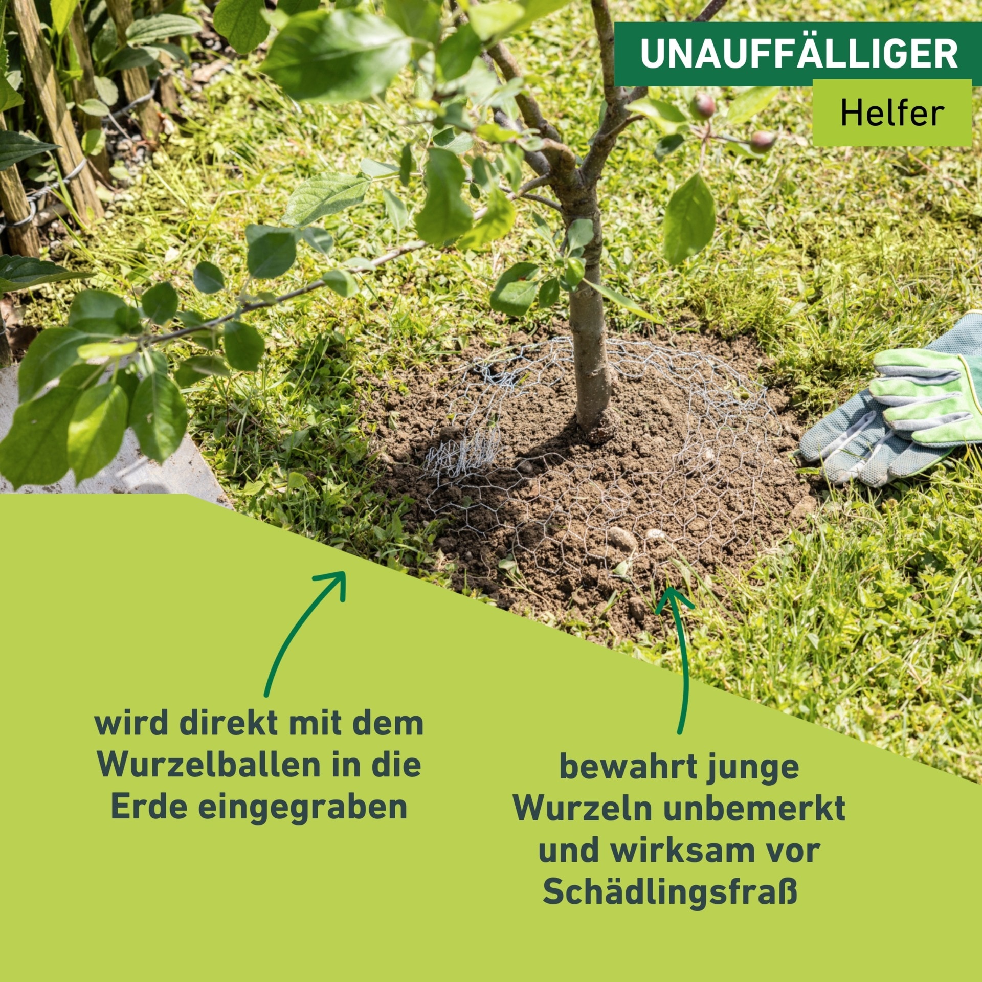 Windhager Mäusegitter »Wühlmaus Schutzkorb gegen Wurzelverbiss durch Wühlmäuse« Ø 35 cm, Höhe 40 cm, oder Ø 60 cm, Höhe 70 cm, verzinkt