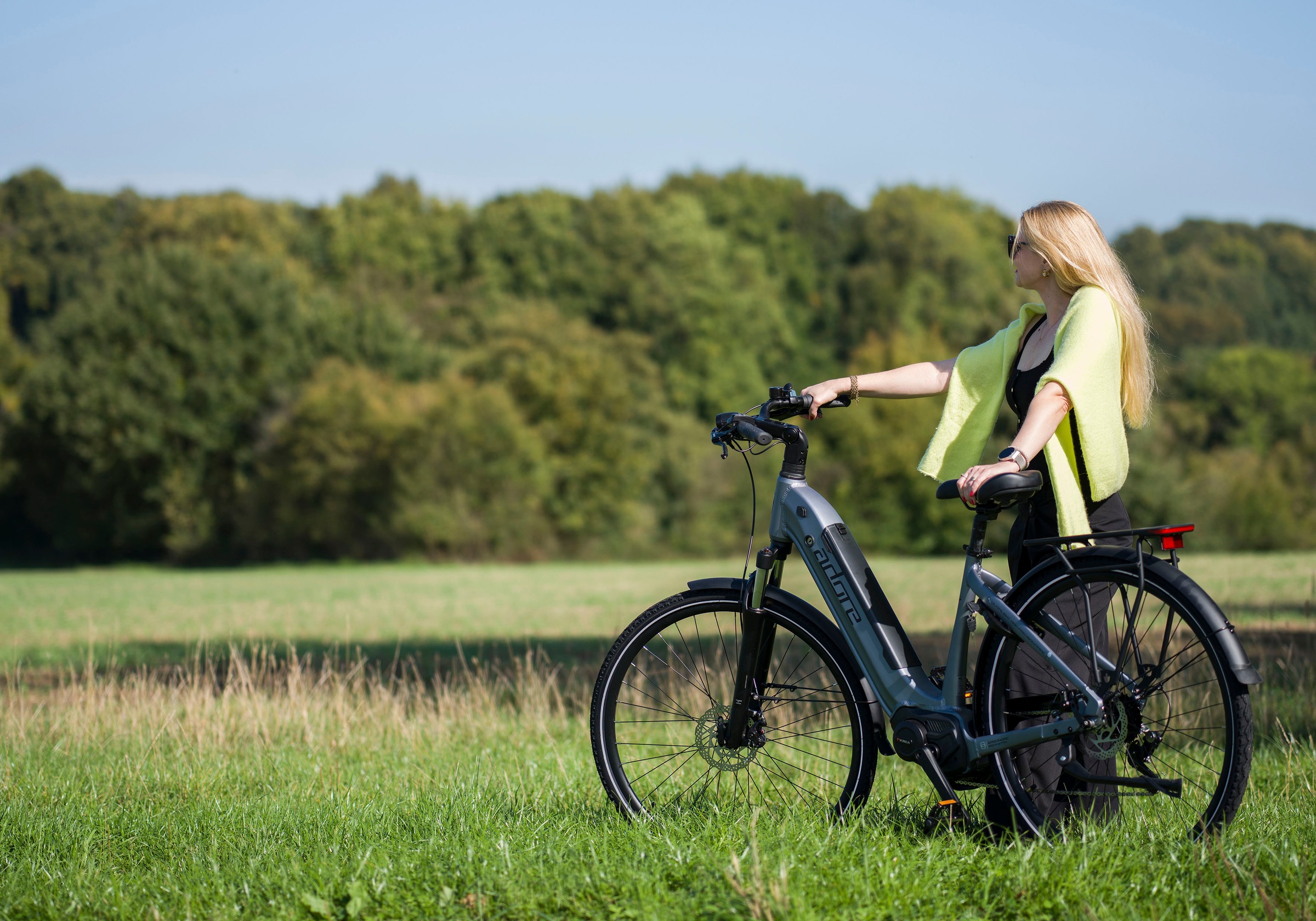 Adore E-Bike »28" Alu Cityfahrrad CX-660 Mittelmotor 75NM / 14,7Ah Grau matt«, 7 Gang, Shimano, Tourney, Mittelmotor 250 W