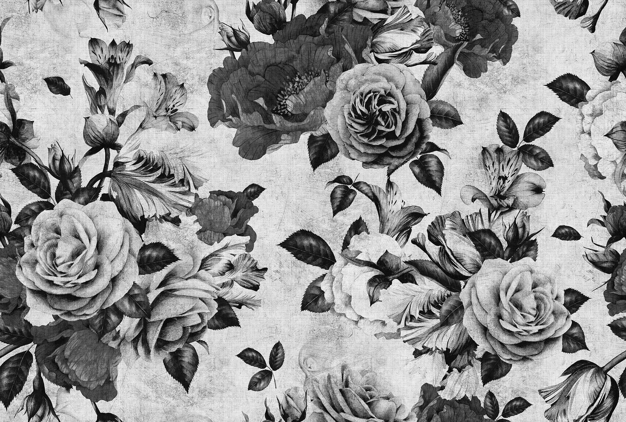 living walls Fototapete "Walls by Patel Spanish Rose 1" glatt Vlies, Wand, Schräge