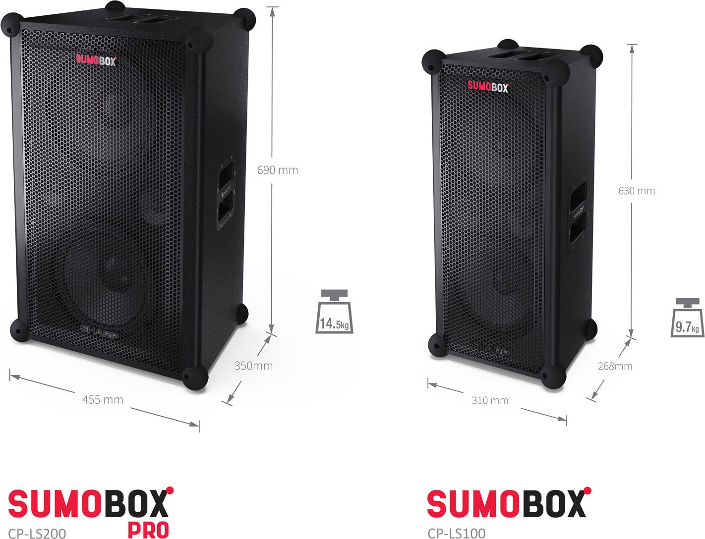 Sharp Lautsprecher »SumoBox CP-LS100«