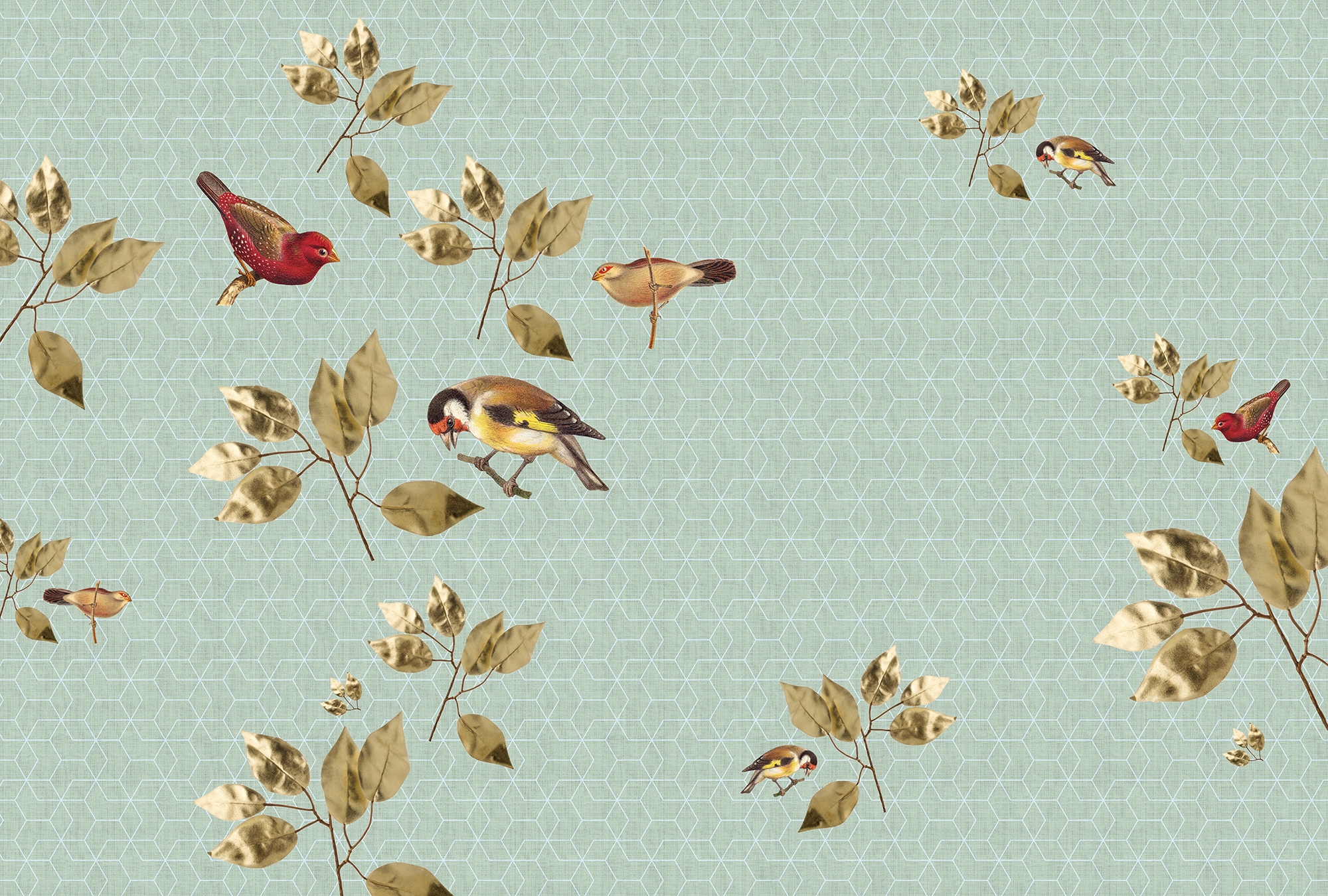 living walls Fototapete "Walls by Patel Brilliant Birds 2" glatt Vlies, Wand, Schräge