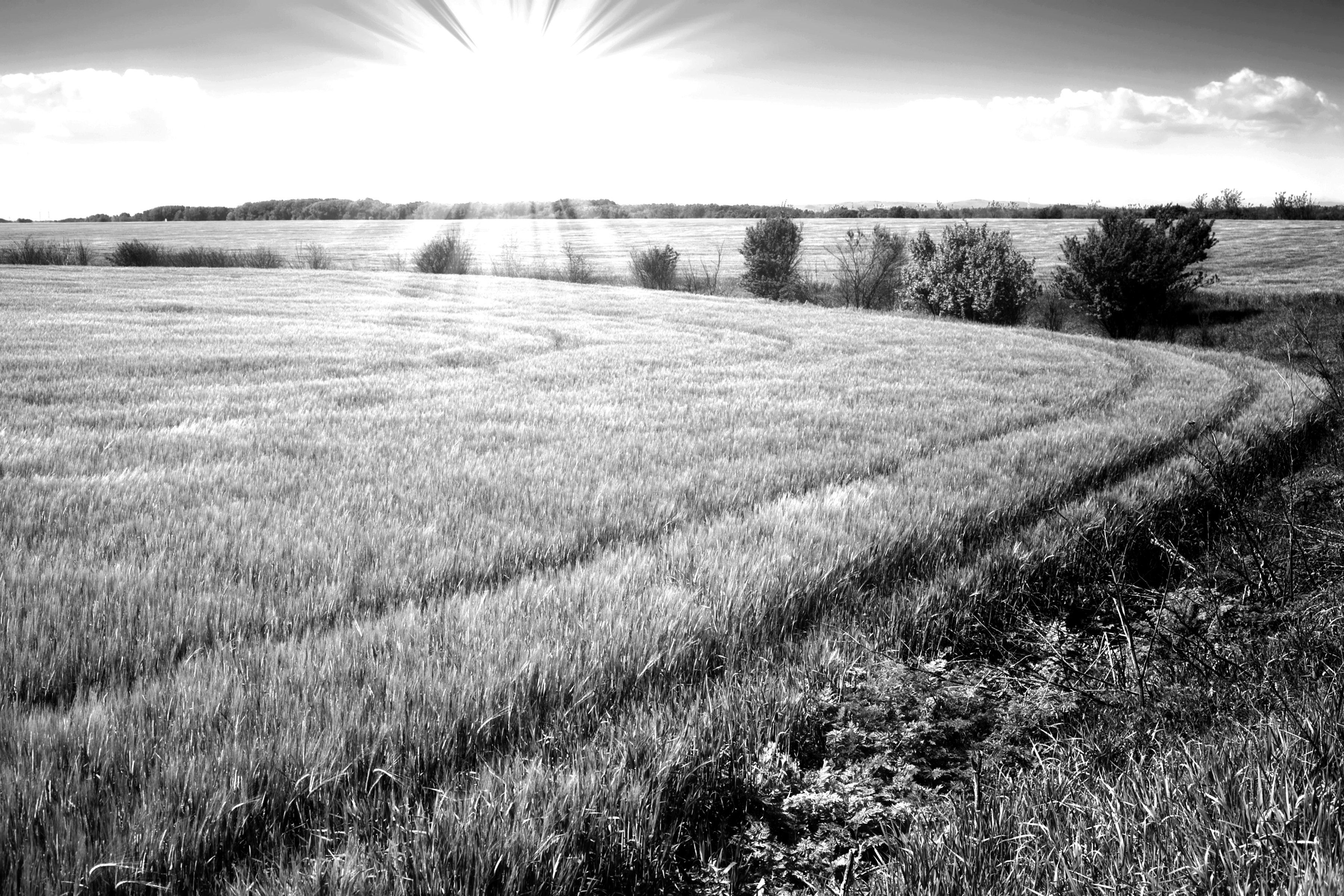 Papermoon "Landschaft schwarz & weiß"