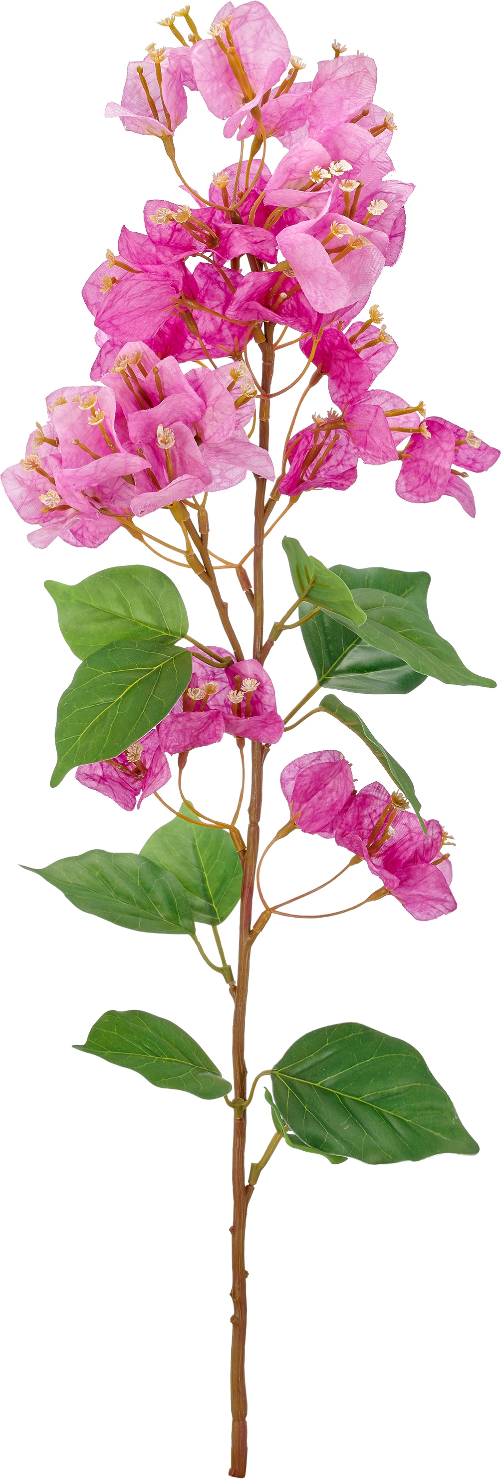 Creativ green Kunstzweig »Bougainvilleazweig« mit traumhaft schönen Blüten