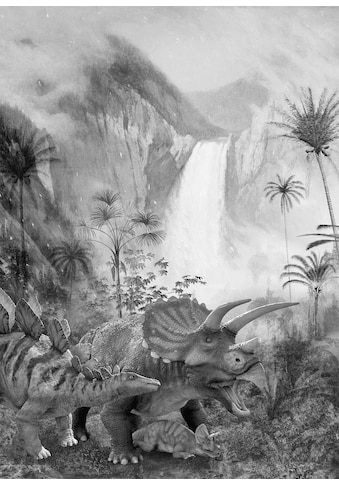 Komar Vliestapete »Jurassic Waterfall« 200x2...