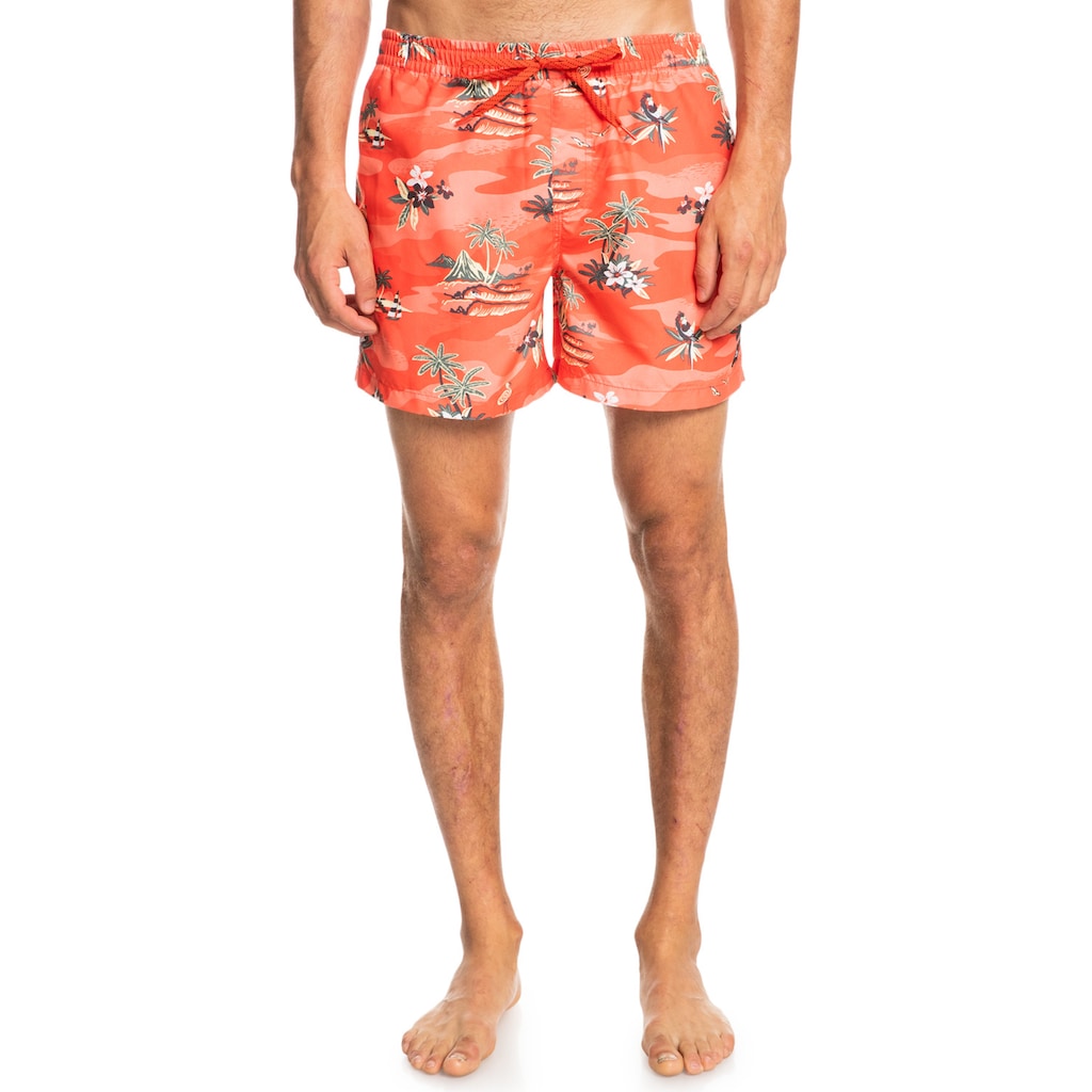 Quiksilver Boardshorts »Everyday Scenic 15"«