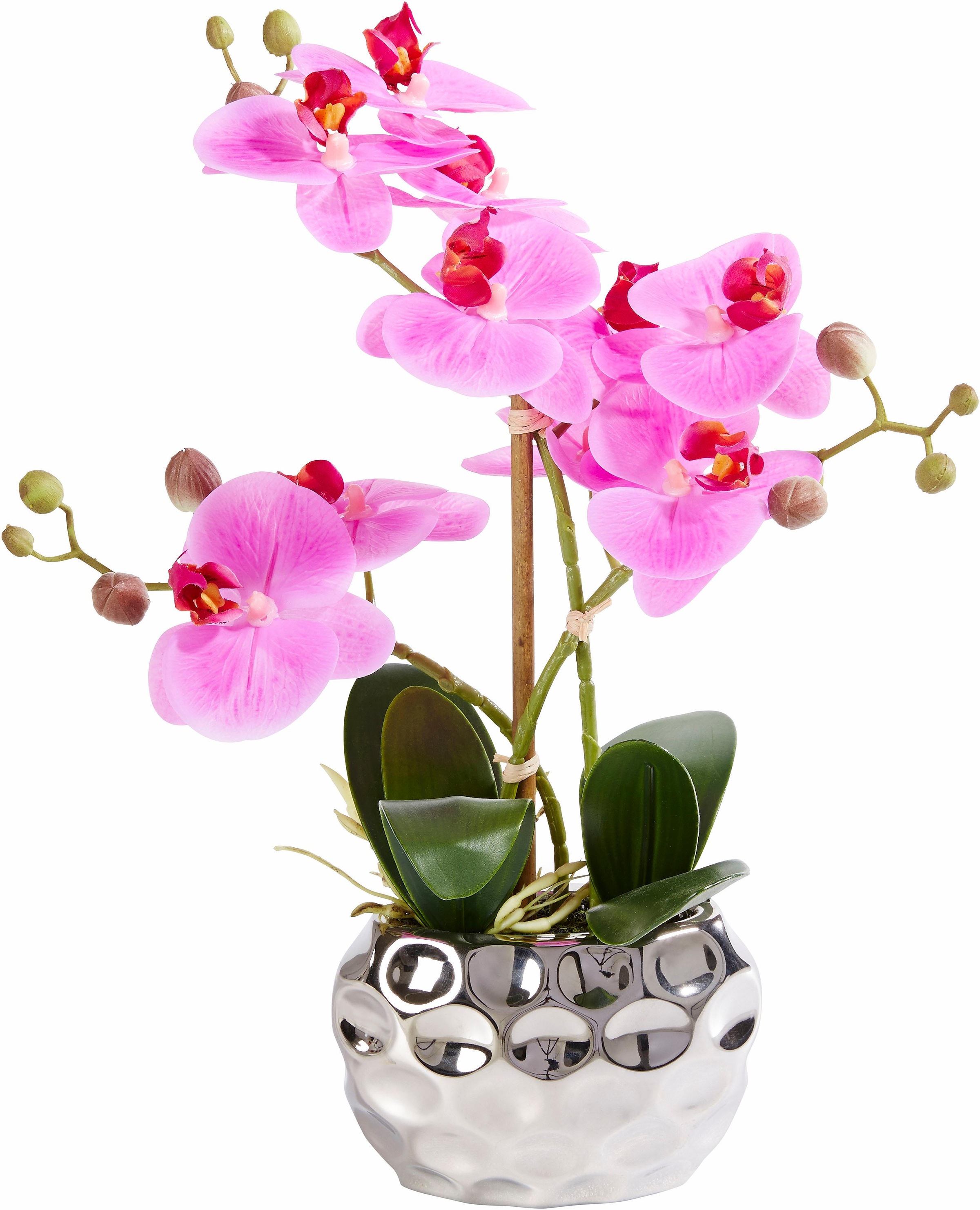 OTTO home Kunstpflanze "Orchidee" Kunstorchidee, im Topf, Bestseller, über günstig online kaufen