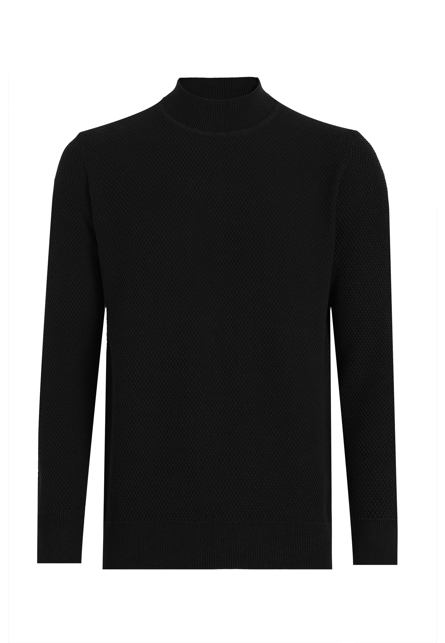 Felix Hardy Rollkragenpullover "Rollkragenpullover"