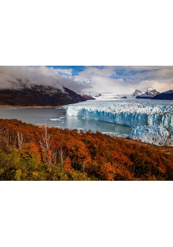 Fototapete »GLETSCHER-PATAGONIEN GEBIRGE WALD BERGE SONNE STEINE«