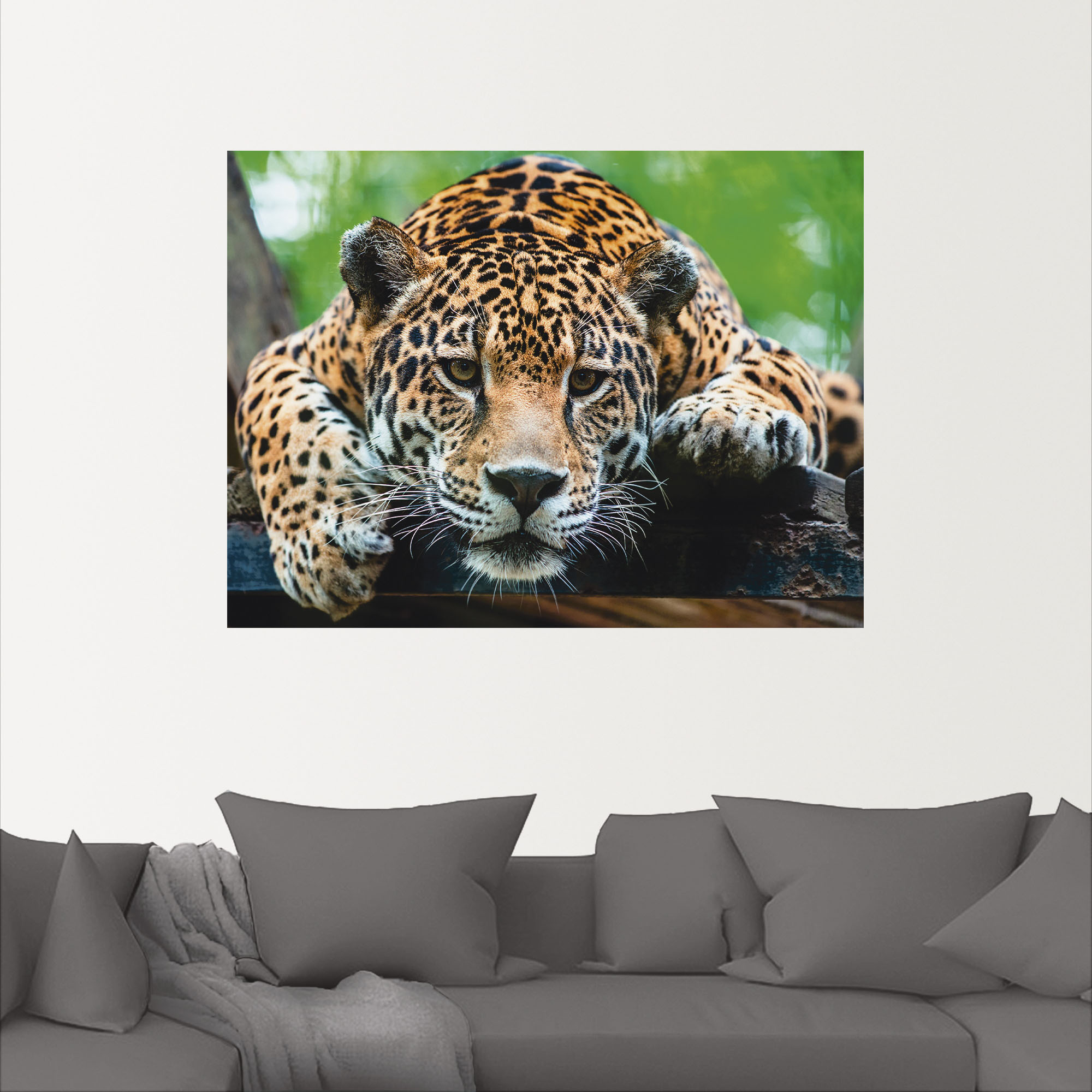 Thumbnail - Artland Wandbild "Südamerikanischer Jaguar", Wildtiere, (1 St.), als Alubild, Outdoorbild, Leinwandbild, Poster, Wandauf...