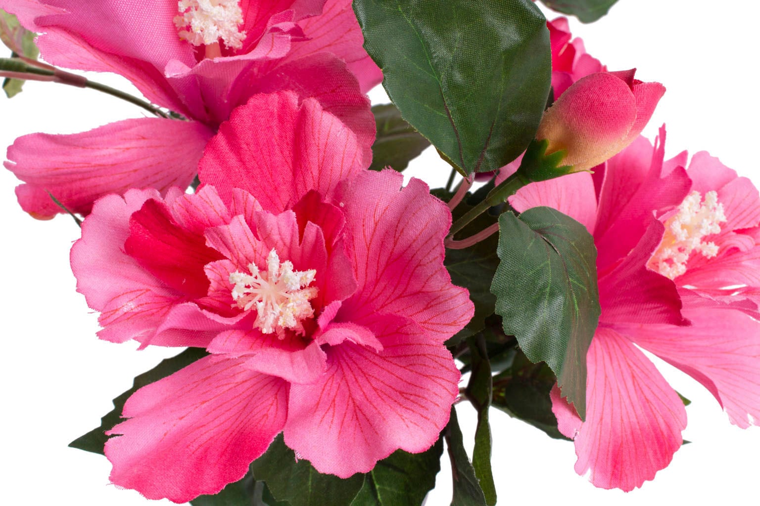 Botanic-Haus Kunstblume »Hibiskus | kaufen BAUR Topf« im