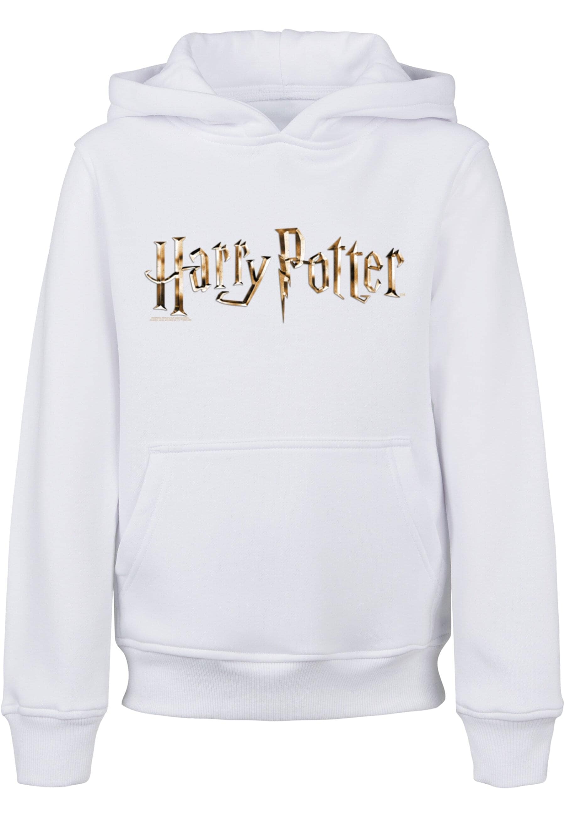 ABSOLUTE CULT Kapuzensweatshirt »ABSOLUTE CULT Herren Kids Harry Potter - Colour Logo Basic Hoody«