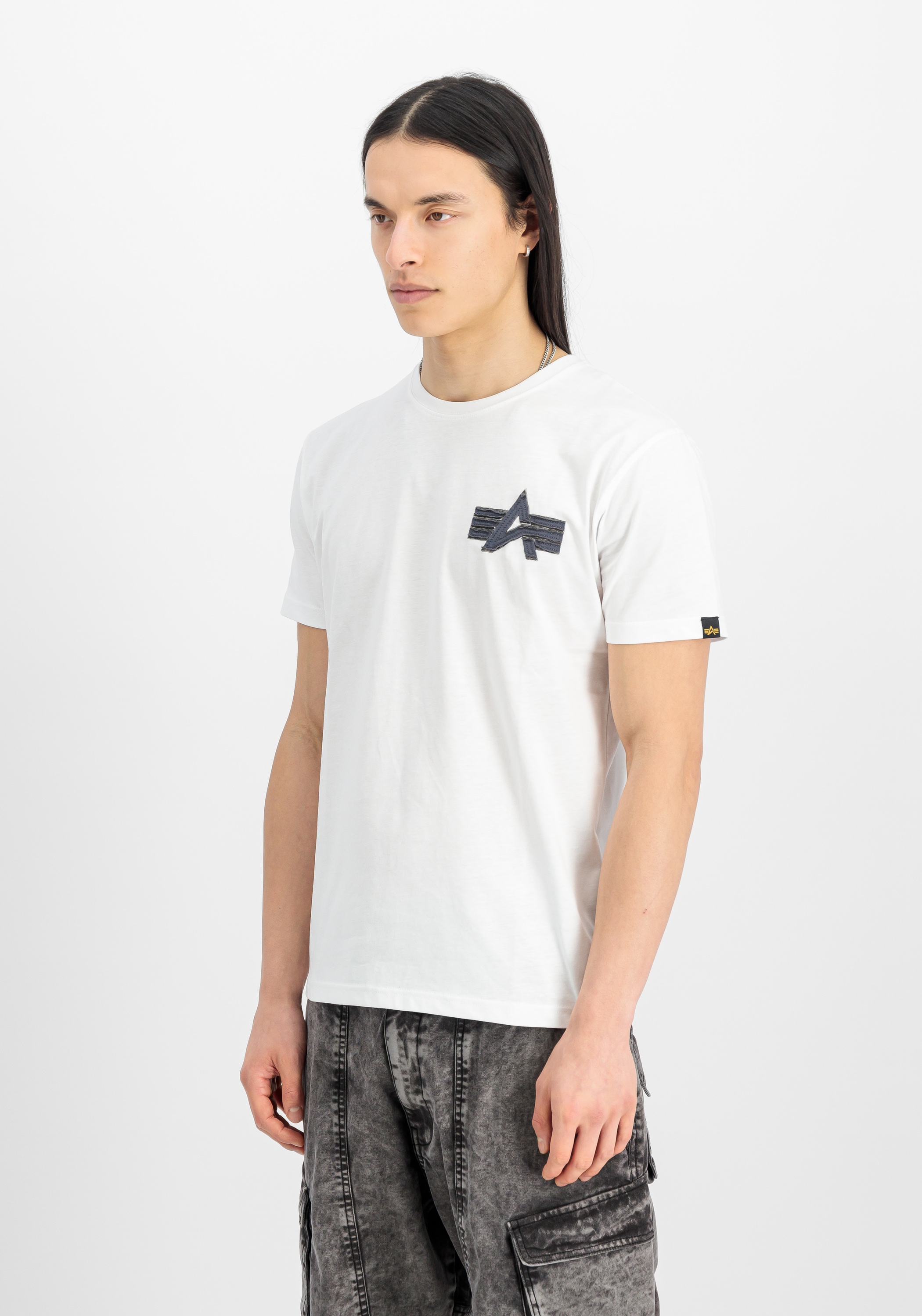 Alpha Industries T-Shirt »Coach T-Shirt Back Embroidery T-Shirt«