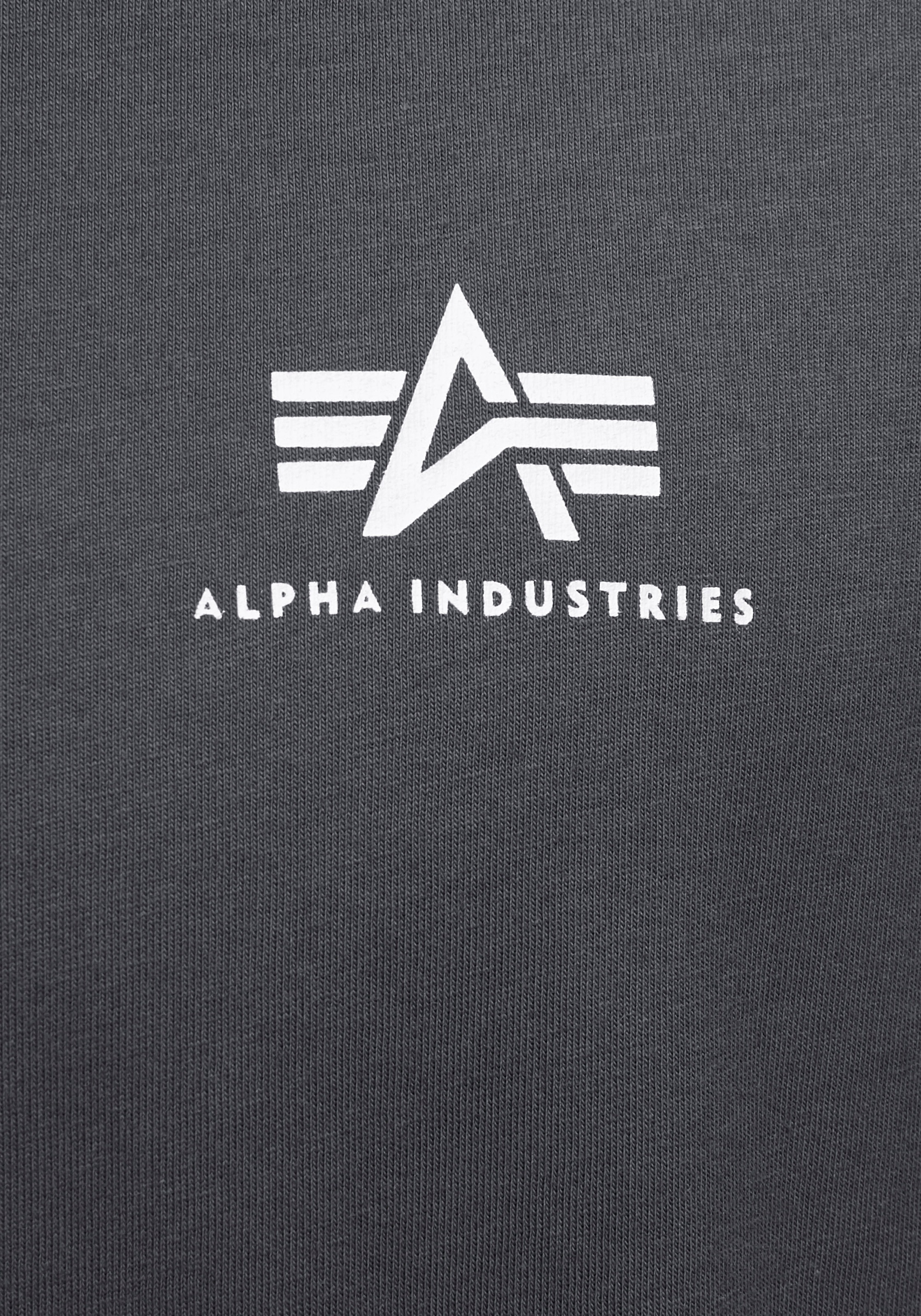 Alpha Industries Rundhalsshirt »BASIC T SMALL LOGO«