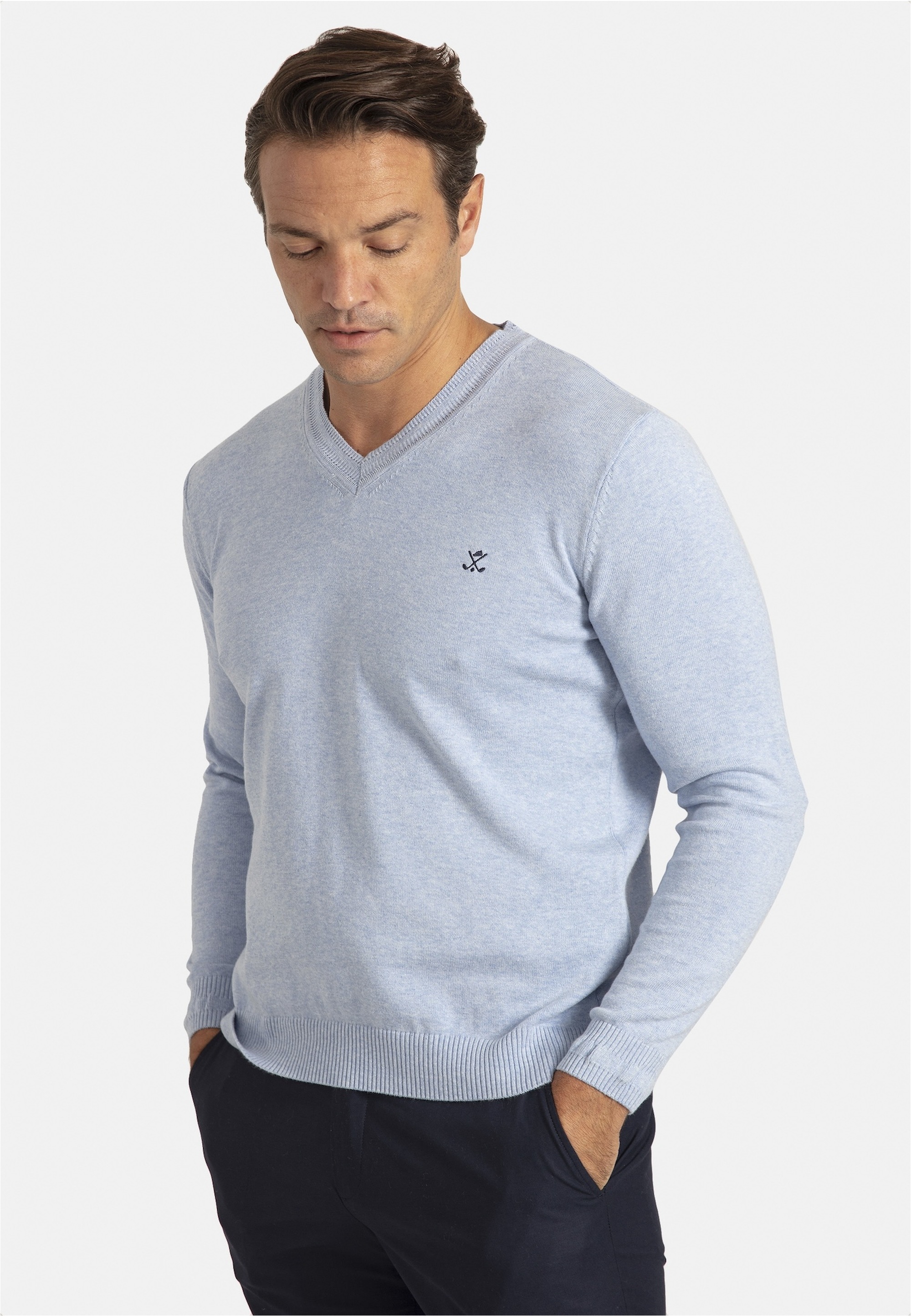 SIR RAYMOND TAILOR Strickpullover »Los Angeles«, (1 tlg.), mit klassischem V-Ausschnitt