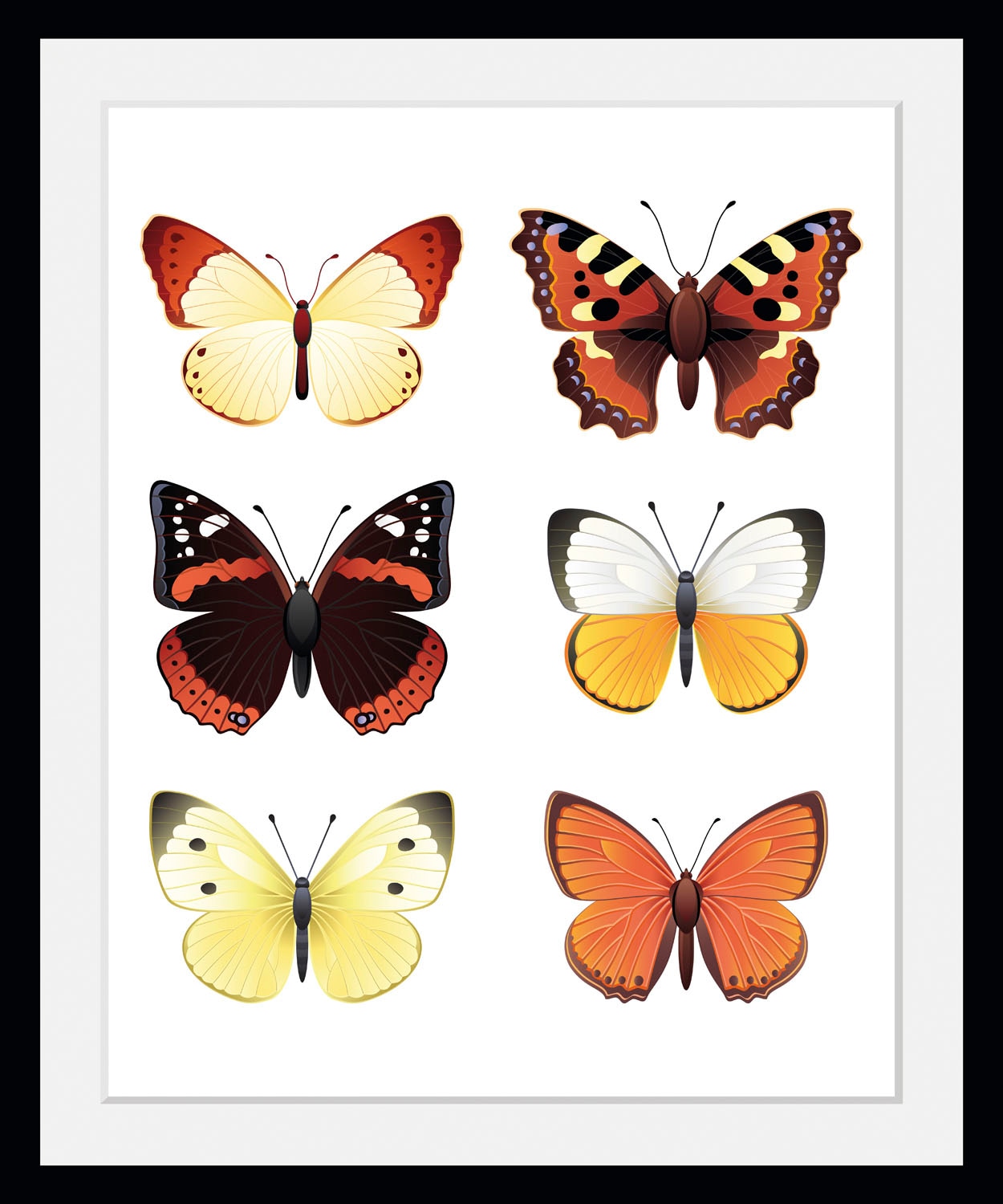 queence Bild "Elina" Insekten Kunst Schmetterlinge historische Ereignisse 1 Stk. tlg. HD Premium Poster-Druck inkl. Holzrahmen
