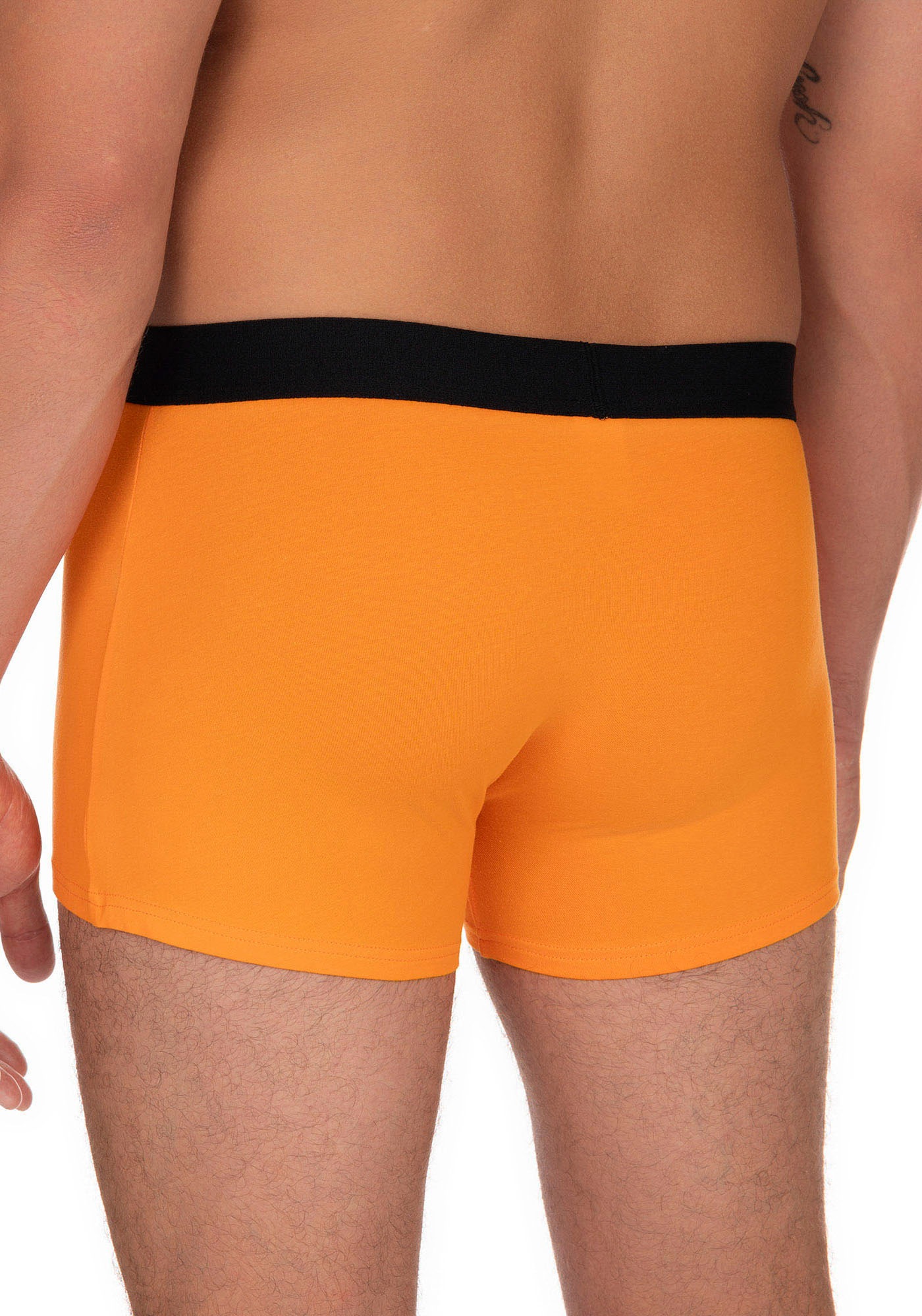 Bruno Banani Boxer »Flowing«, (2er Pack), mit kontrastreichem Logobund