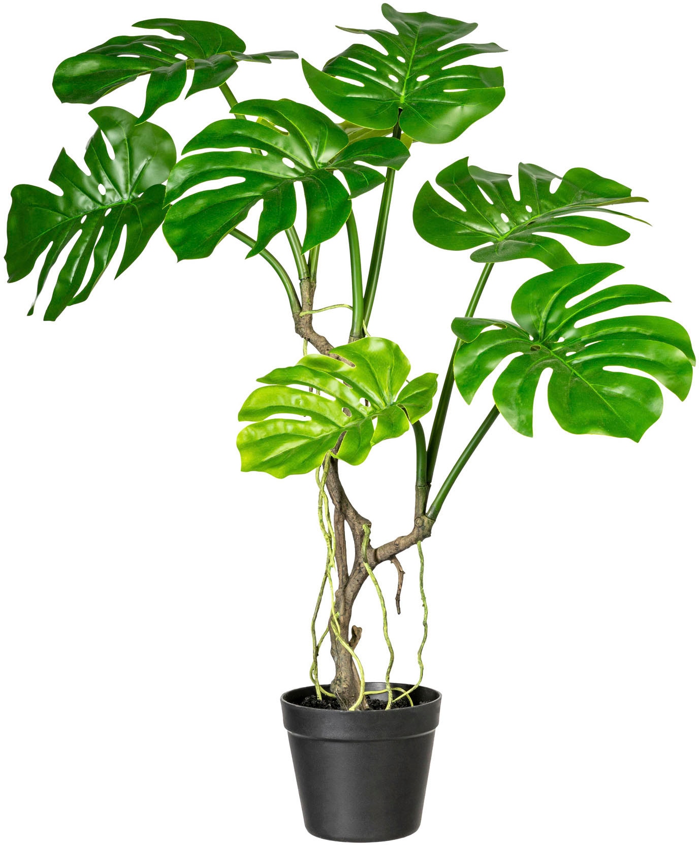 Kunstpflanze »Philodendron«, mit Luftwurzeln