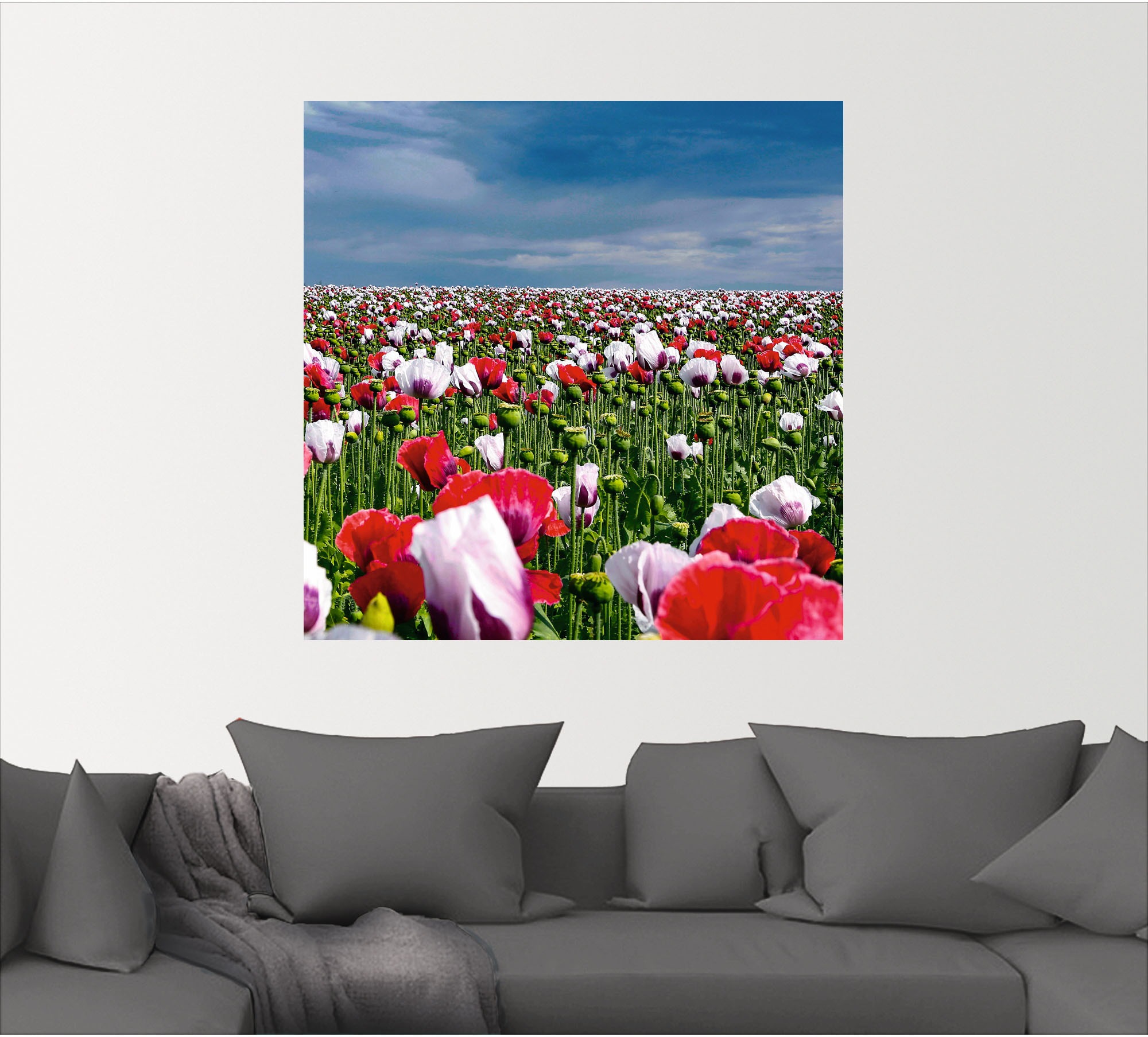 Artland Wandbild »Blühende Mohnblumen«, Blumenwiese, St.), Größen Wandaufkleber Leinwandbild, bestellen in Alubild, (1 Poster | oder versch. als BAUR