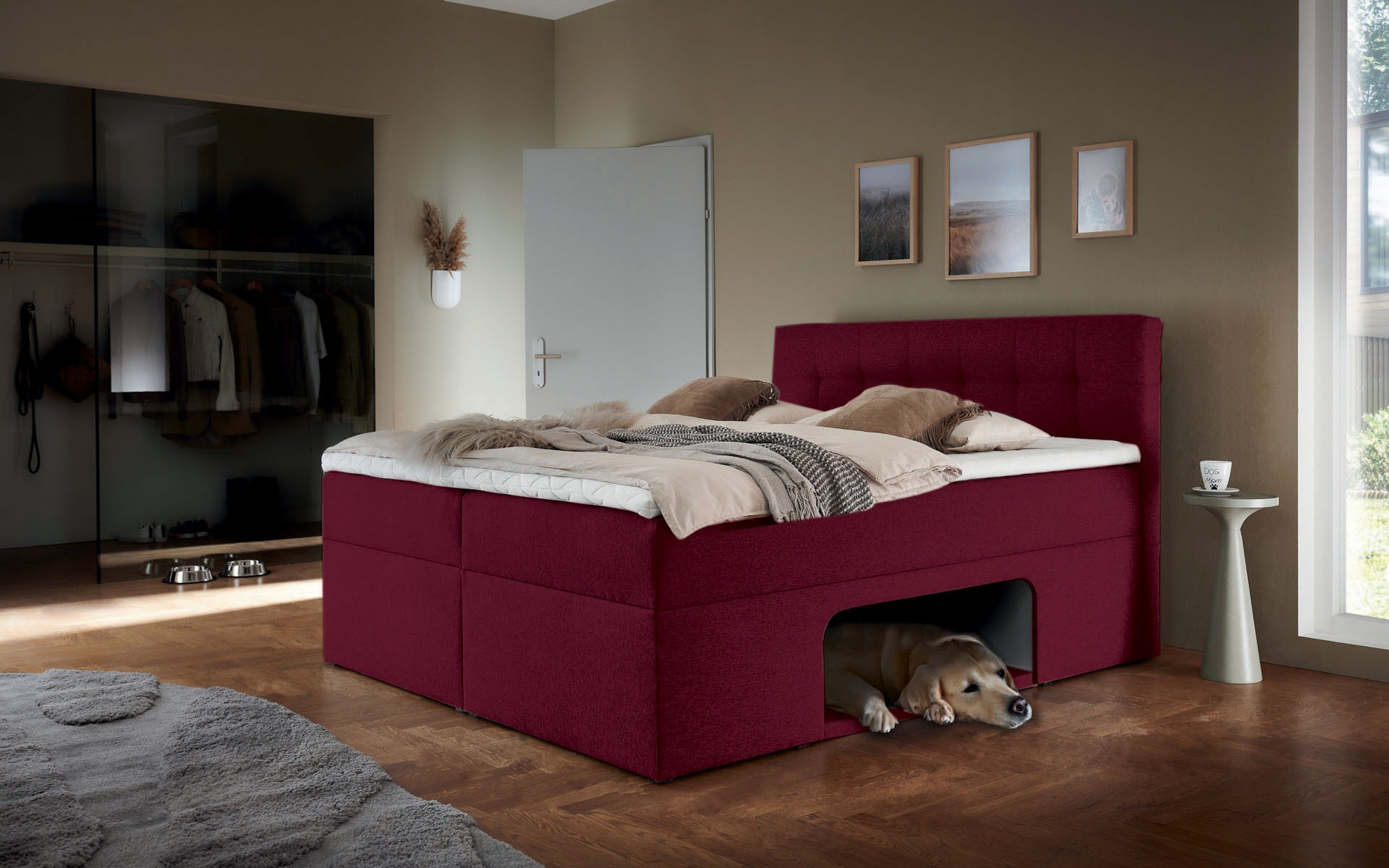 Places of Style Boxbett »Carolin«, mit Nische inkl. gepolsterter Unterlage für Haustiere