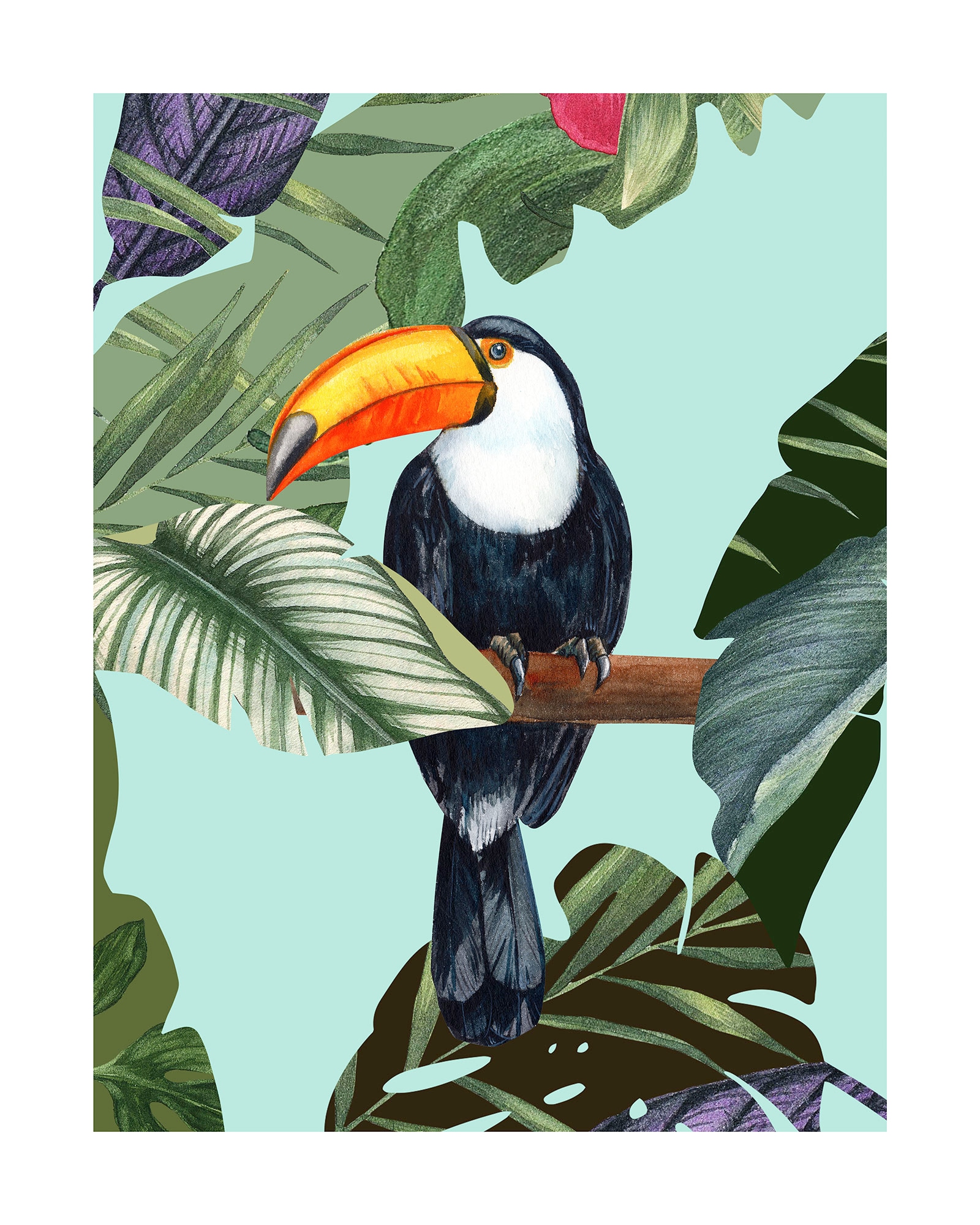 Komar Bild "Toco Toucan" Natur 1 Stk. tlg. Wandbild zur Dekoration - ohne R günstig online kaufen